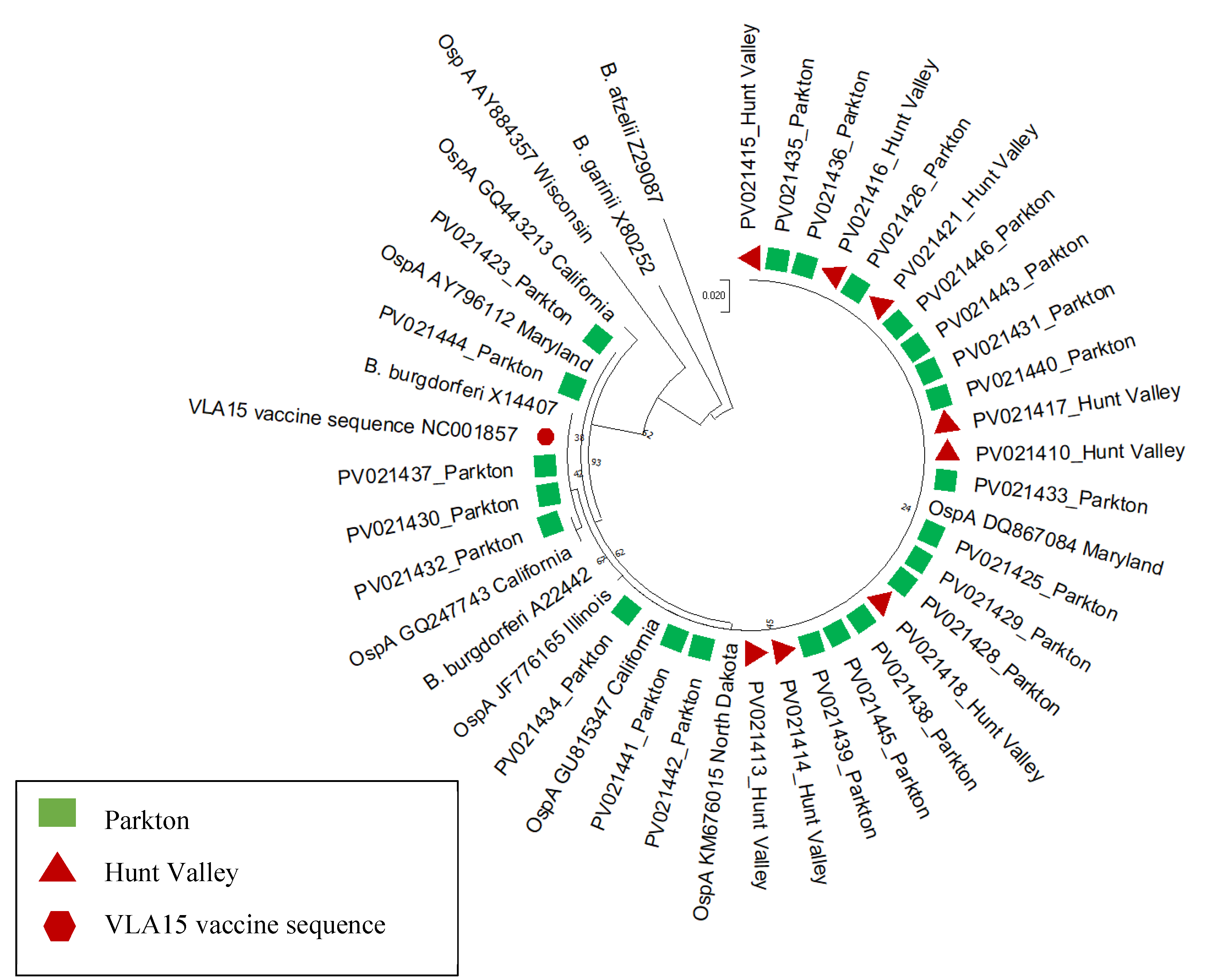 Preprints 147727 g002
