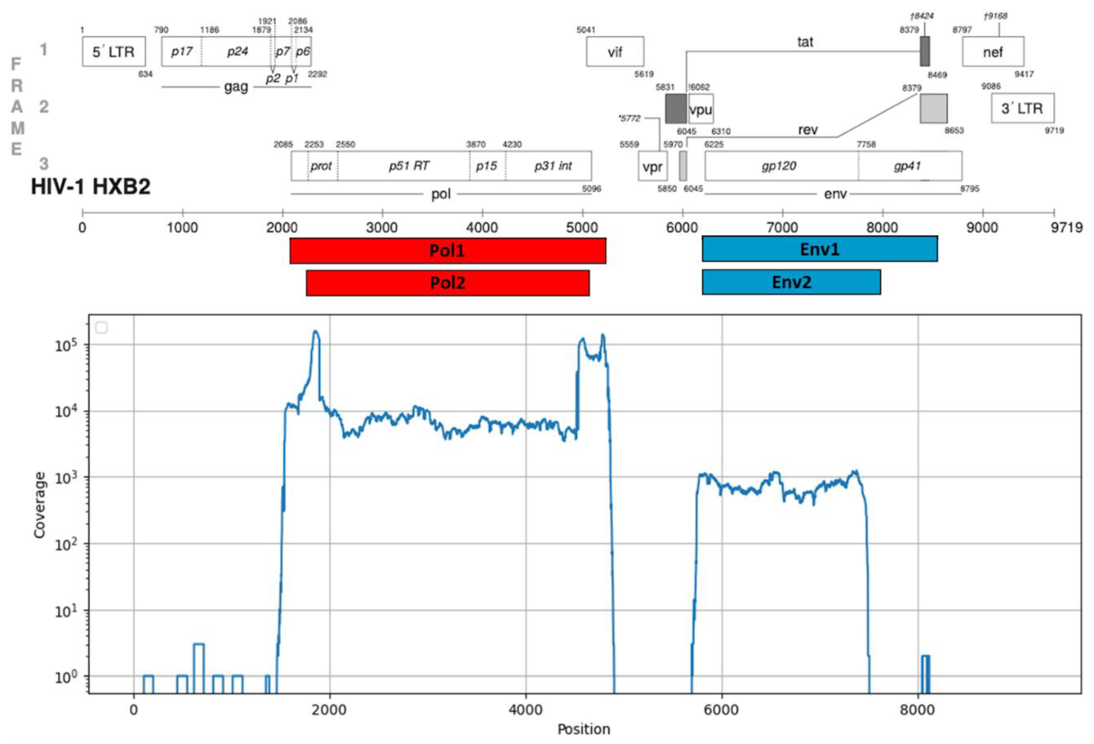 Preprints 194337 g001