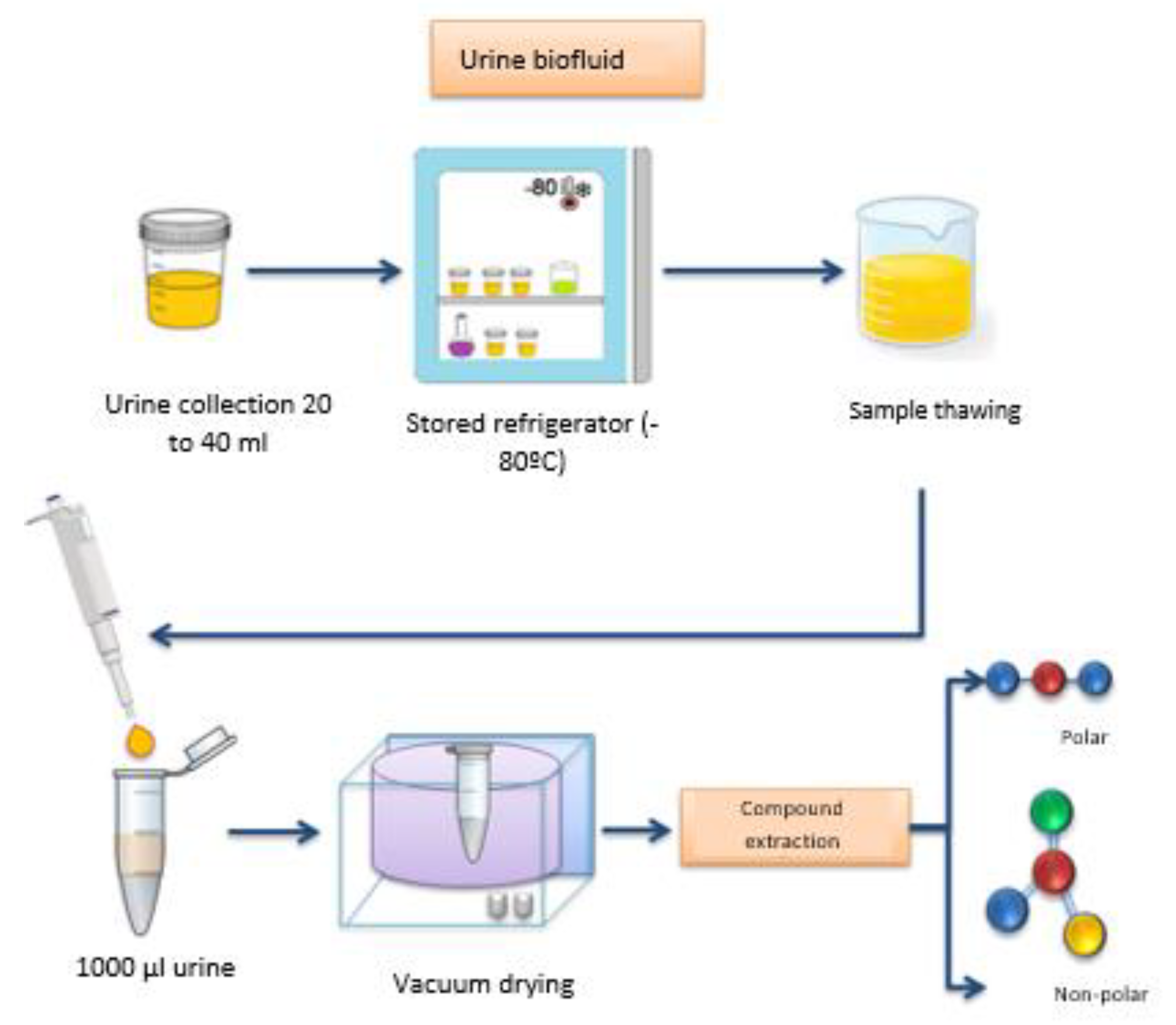 Preprints 101756 g001
