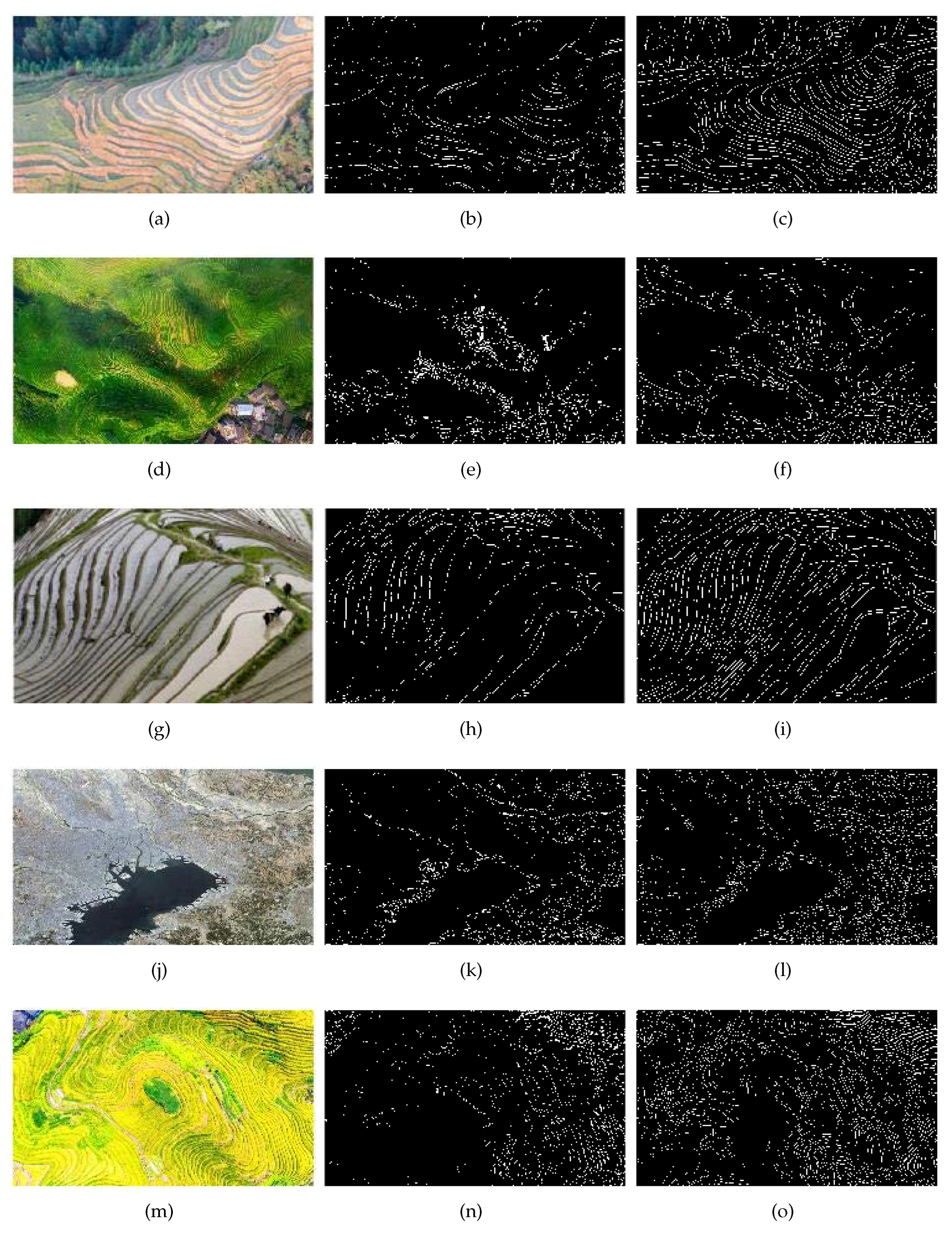 Preprints 206289 g002