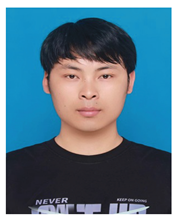 Preprints 206289 i001