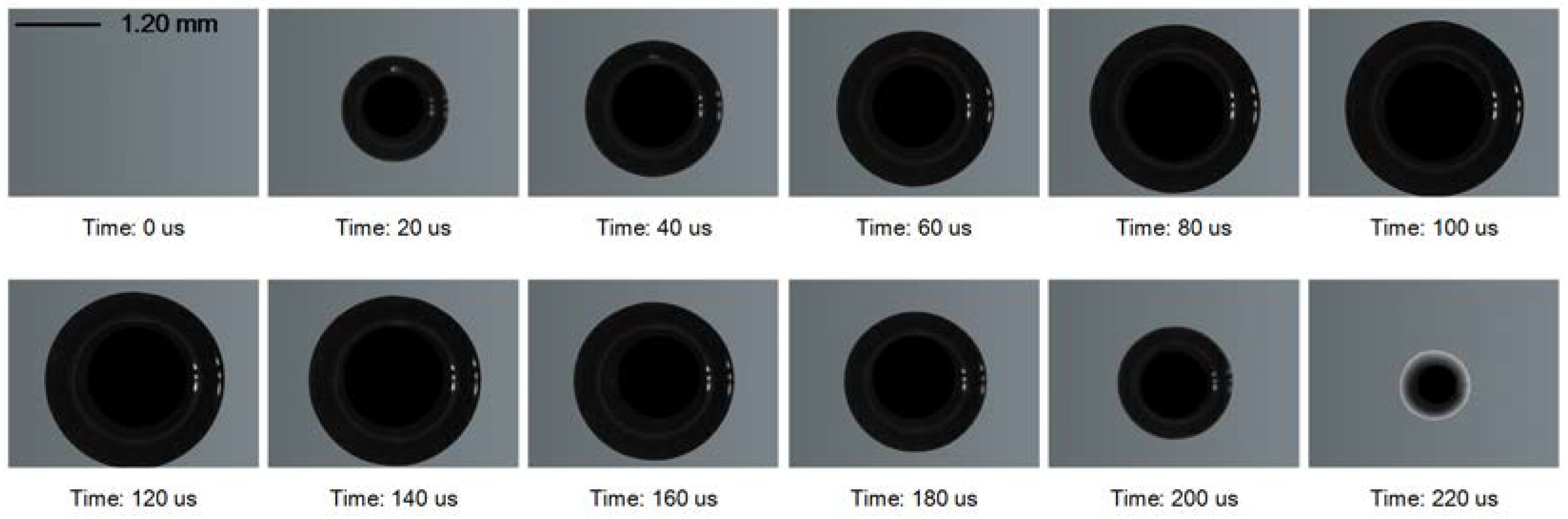 Preprints 98168 g002