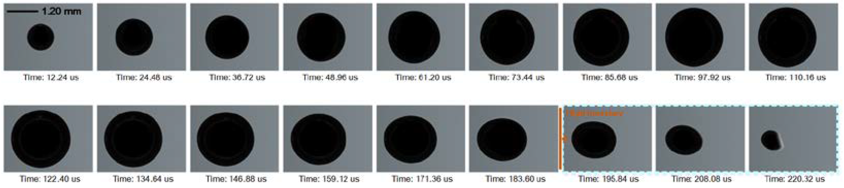 Preprints 98168 g006