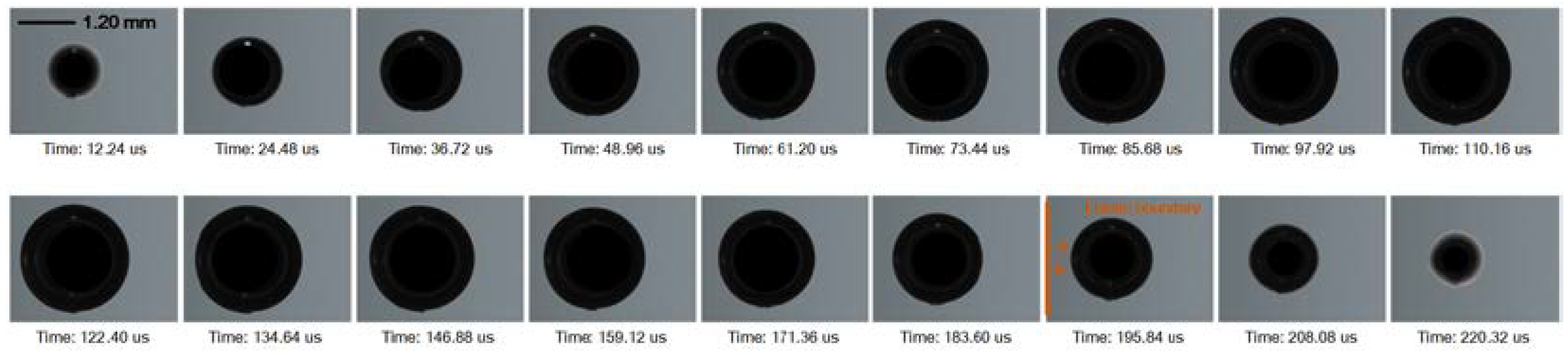 Preprints 98168 g009
