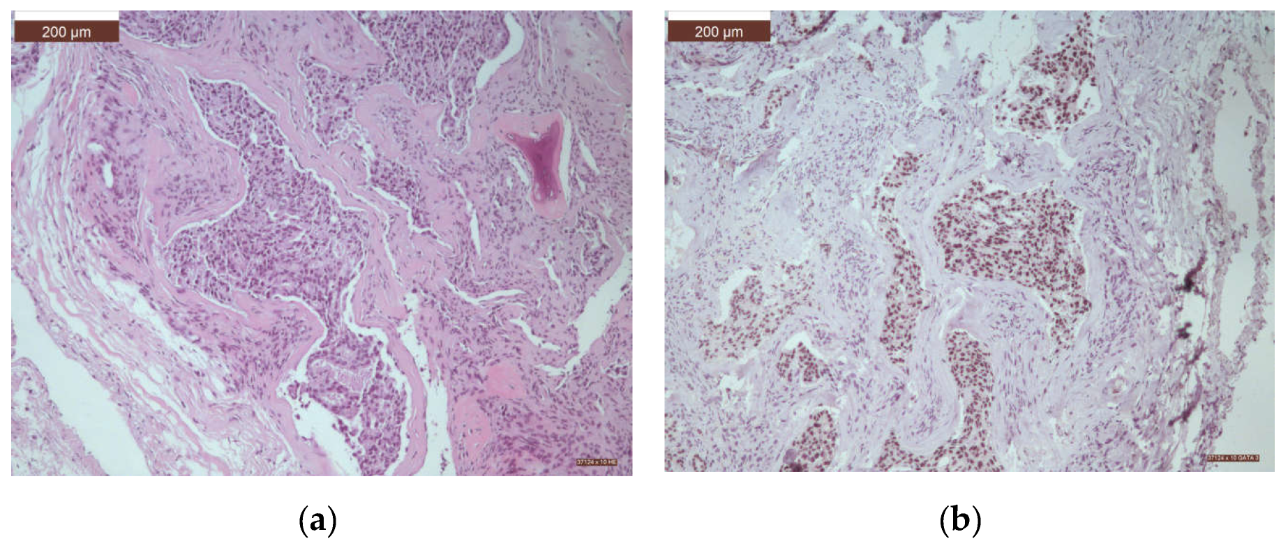 Preprints 109255 g008a