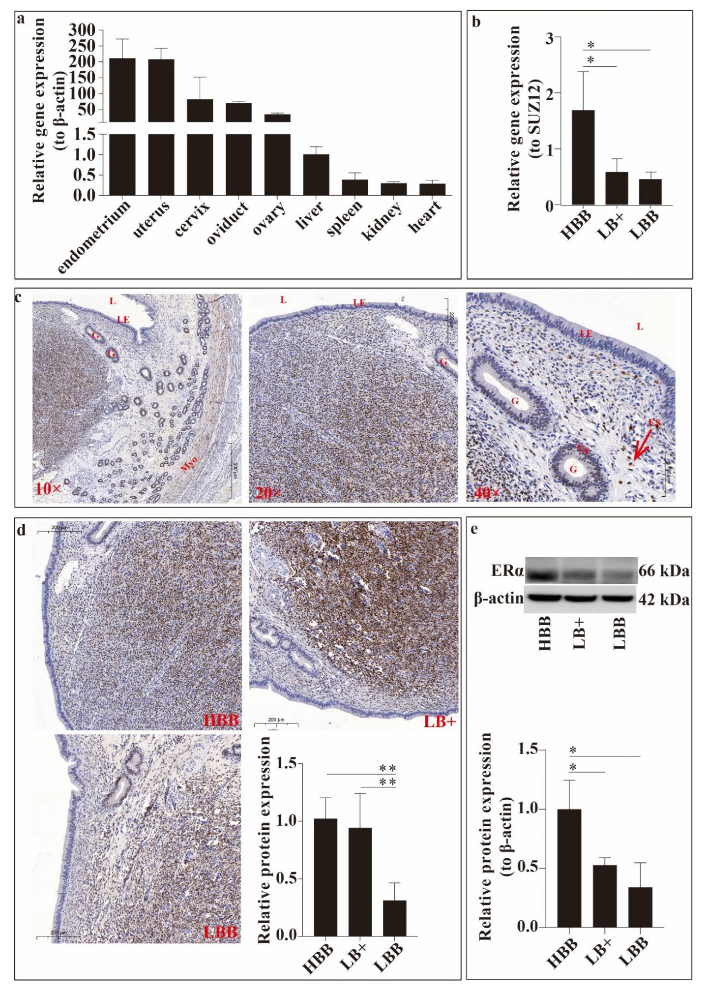 Preprints 177869 g001