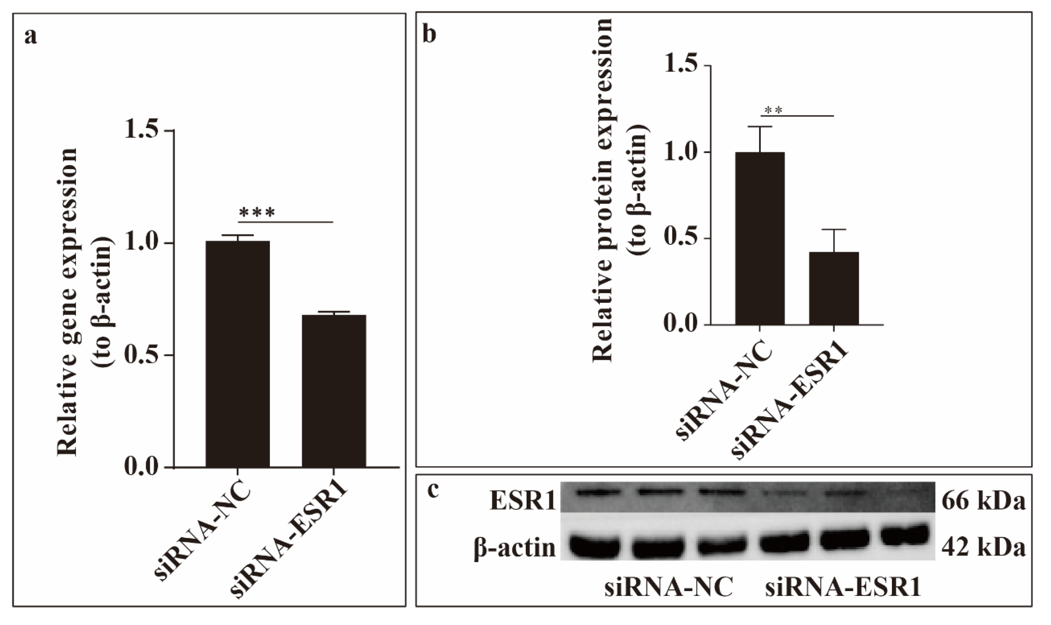 Preprints 177869 g002