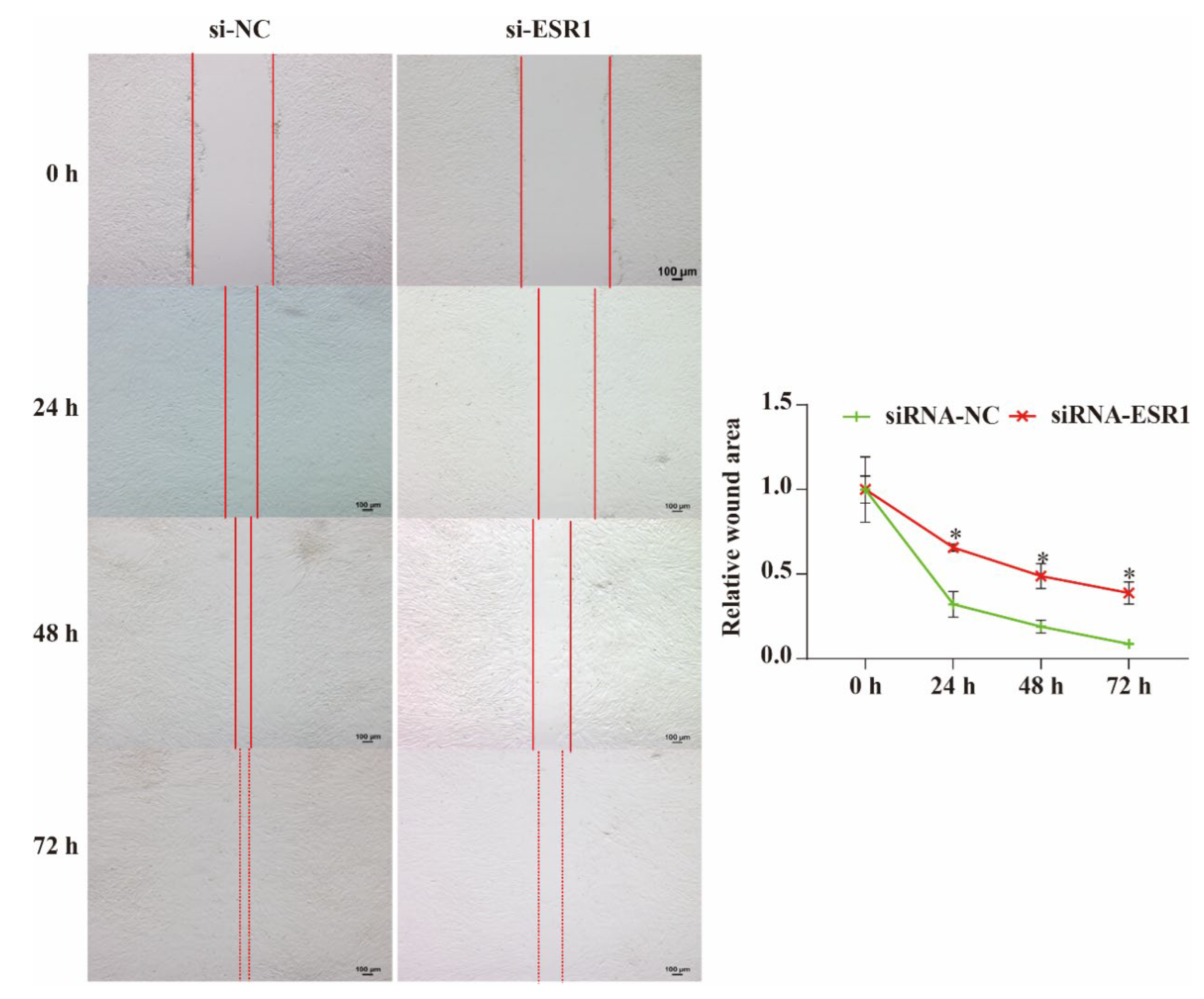 Preprints 177869 g005