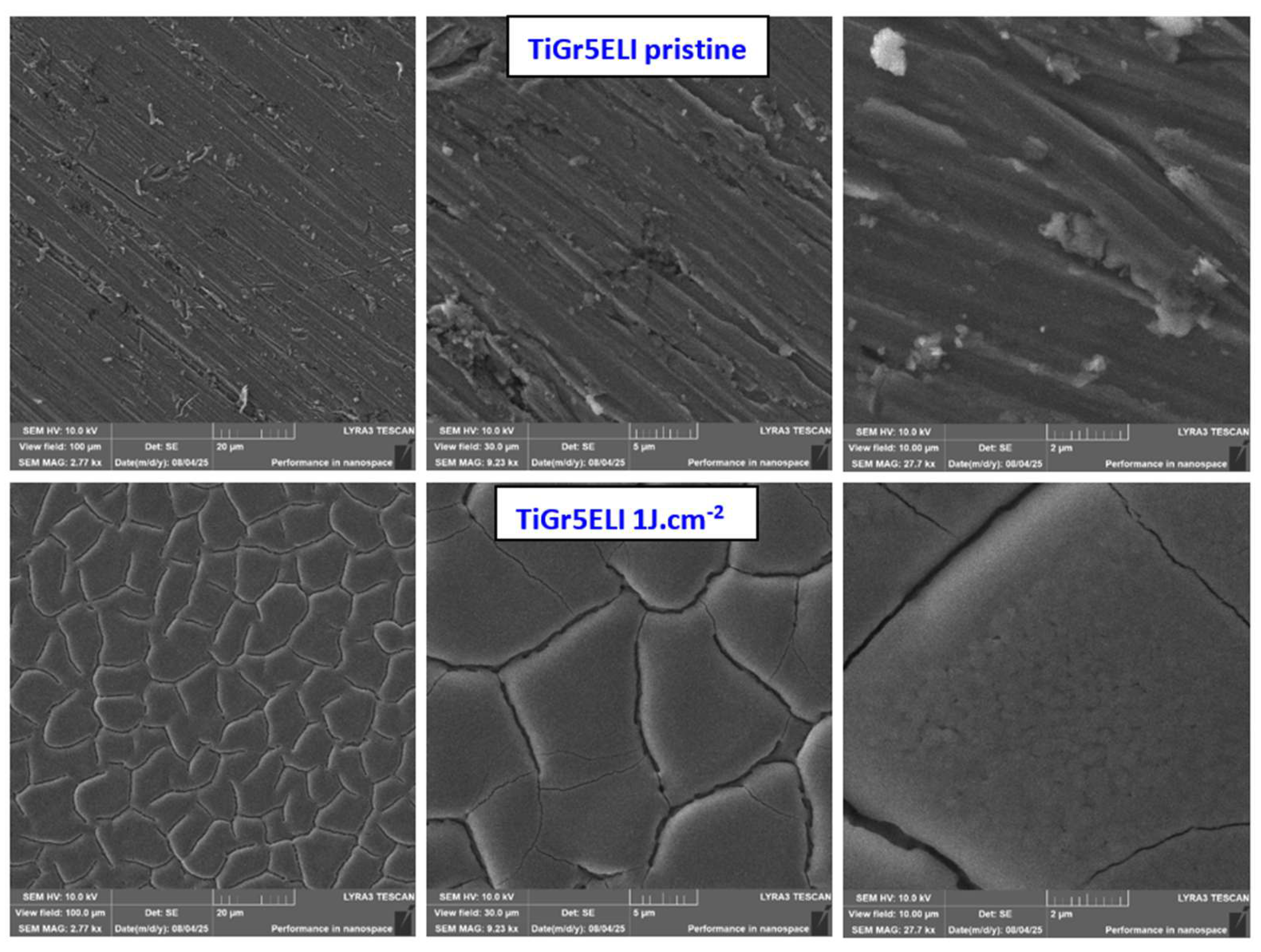 Preprints 222983 g001 Preprints 222983 g001