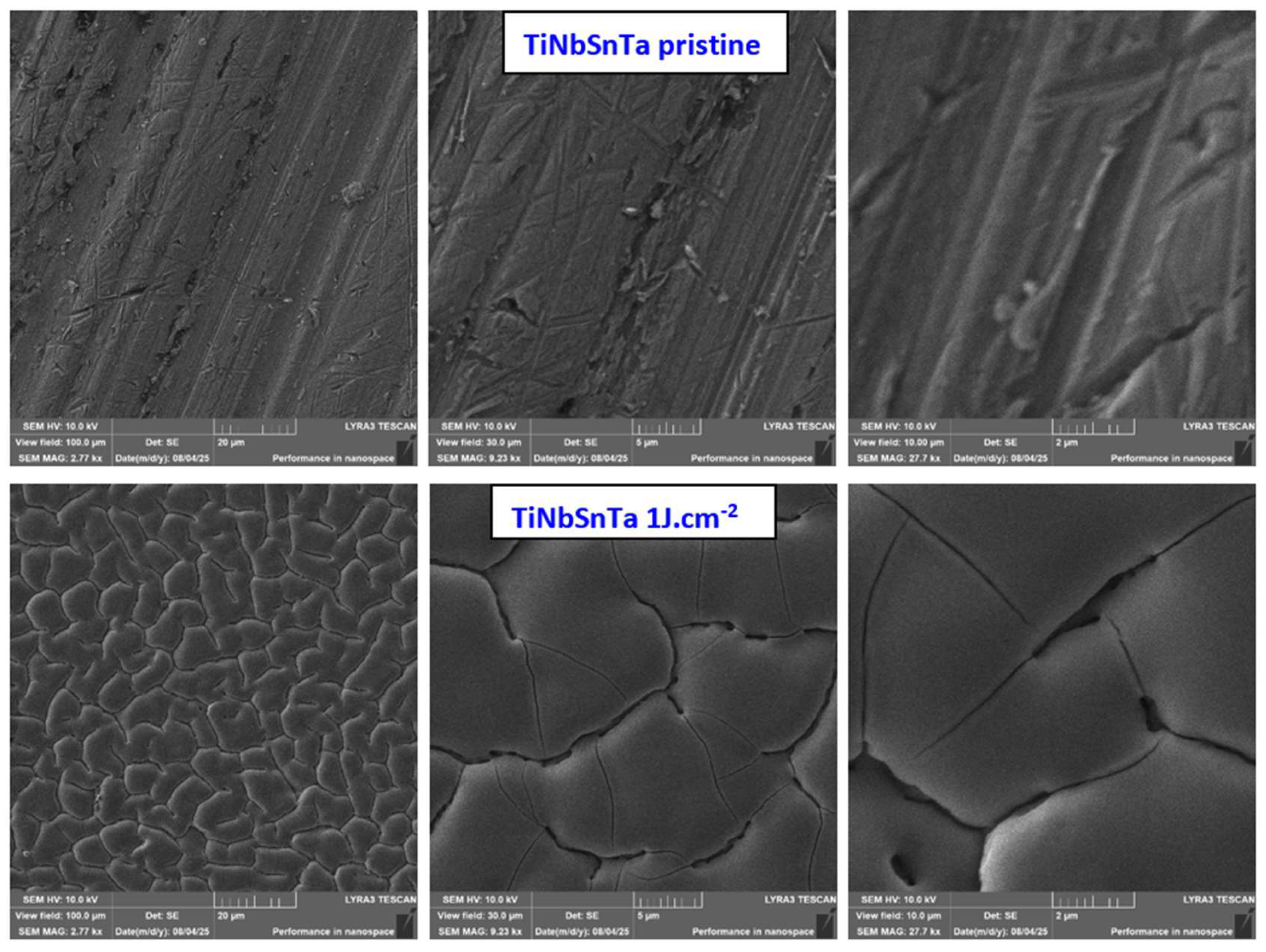 Preprints 222983 g002 Preprints 222983 g002