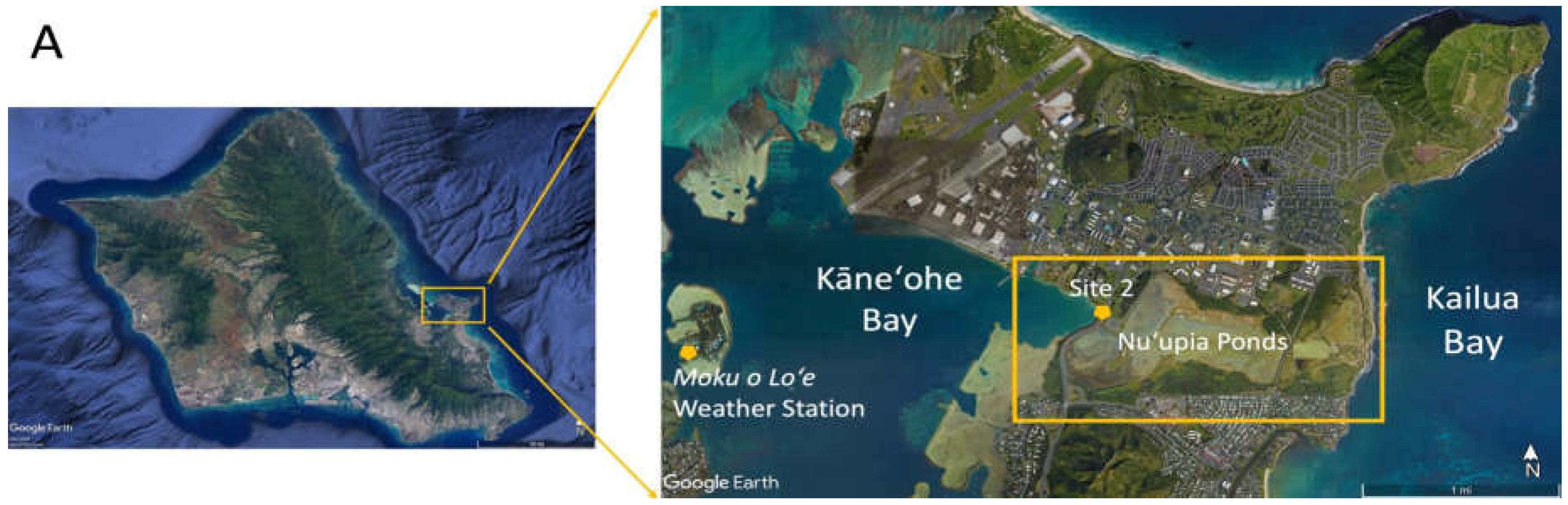 Preprints 109193 g001a