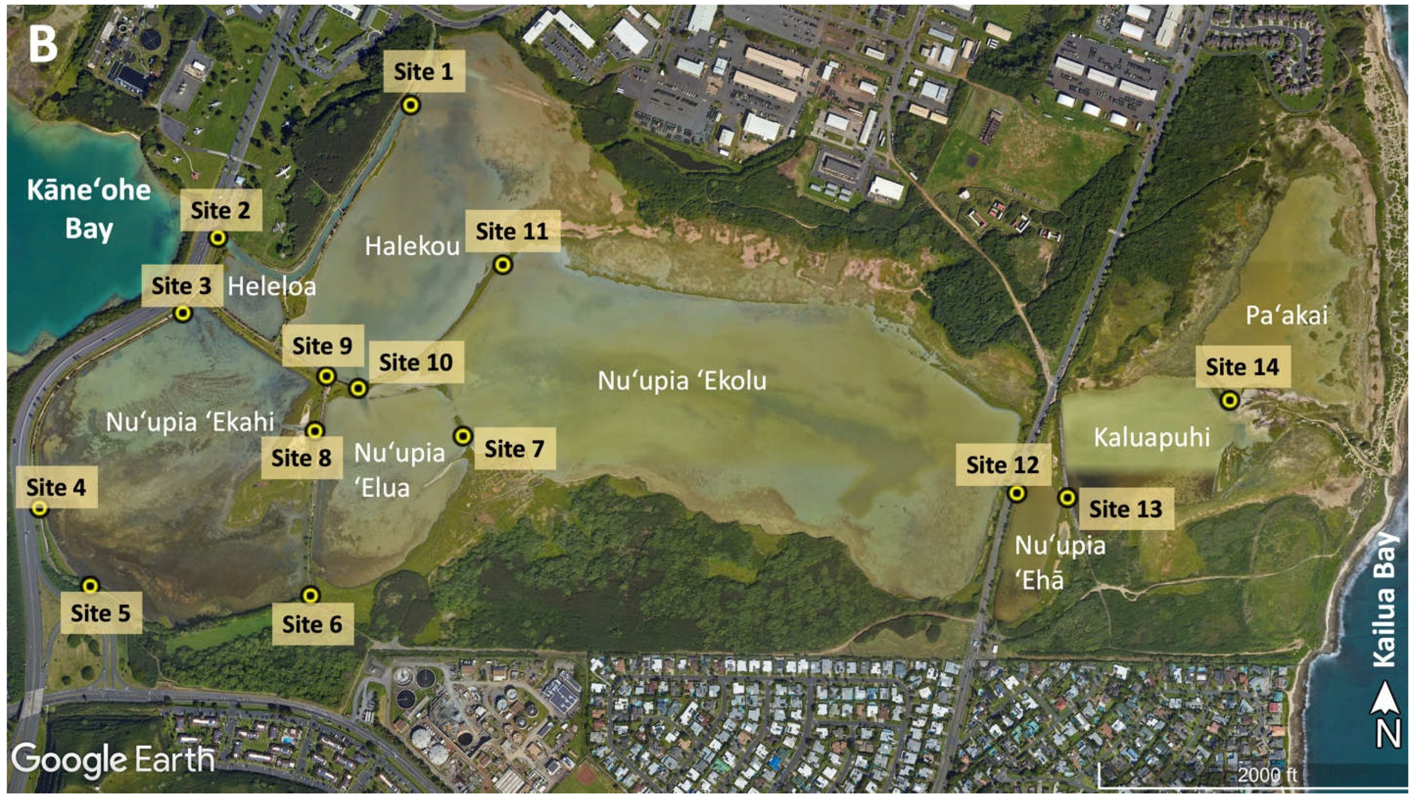 Preprints 109193 g001b