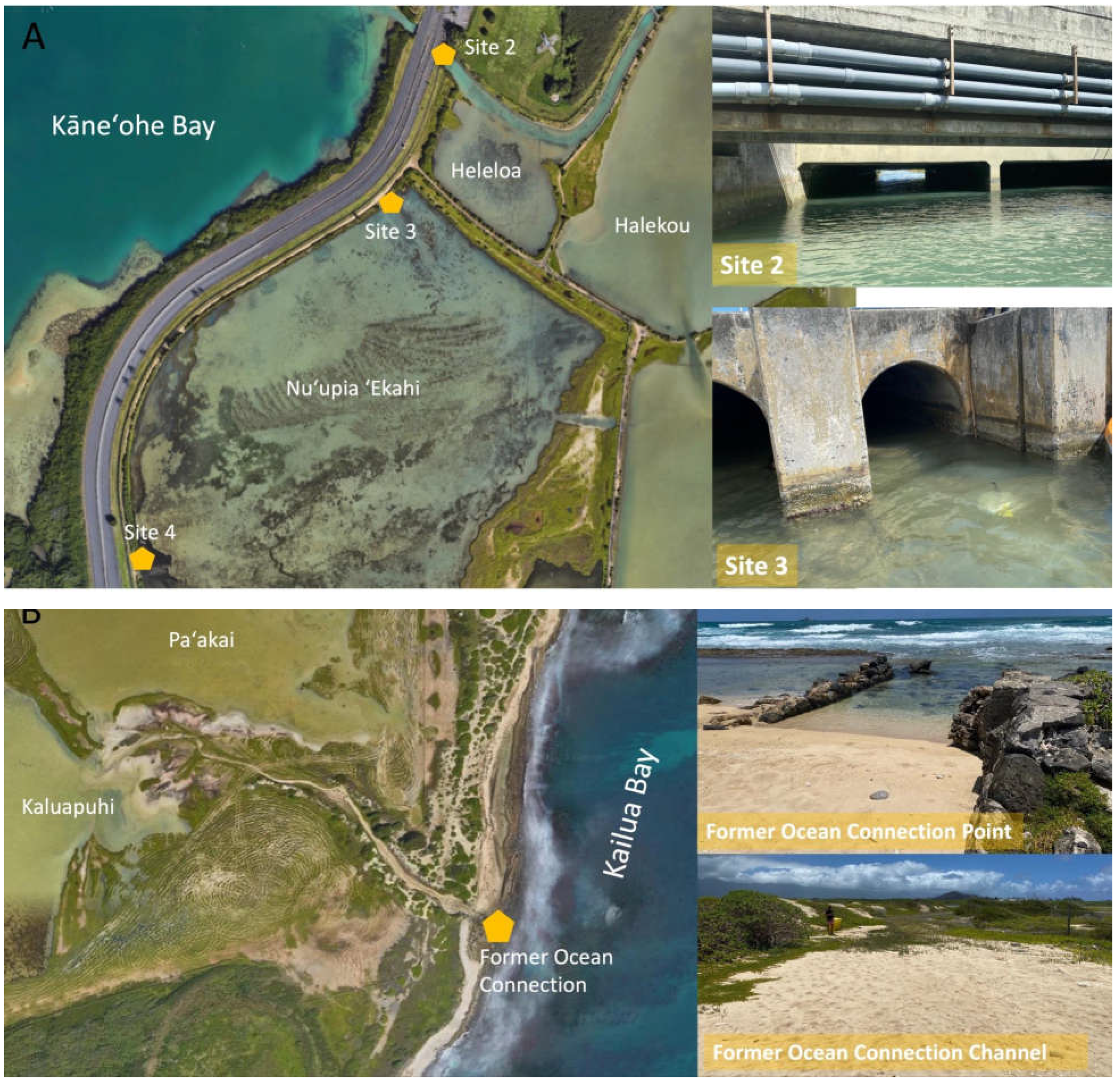 Preprints 109193 g002