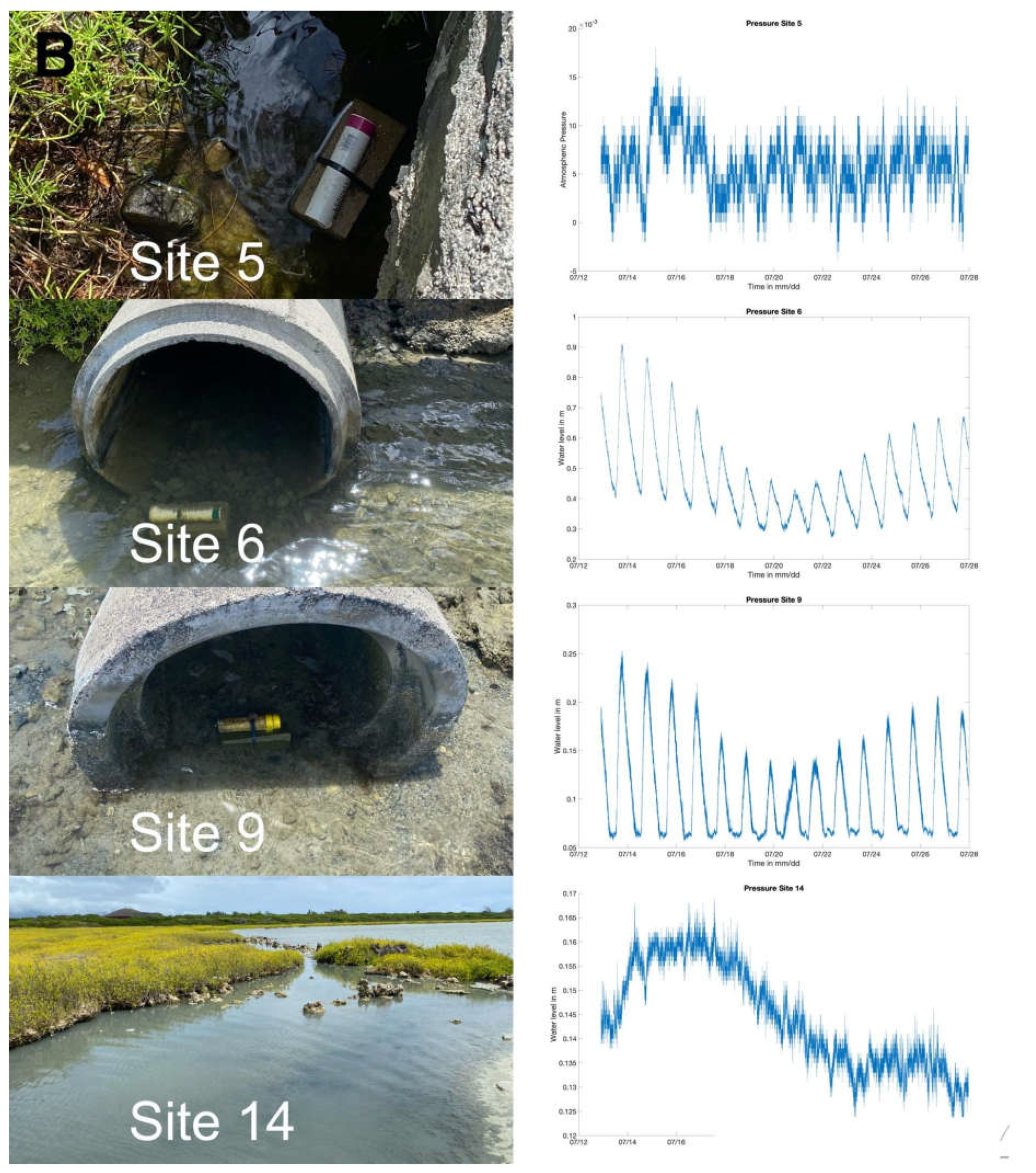 Preprints 109193 g004b
