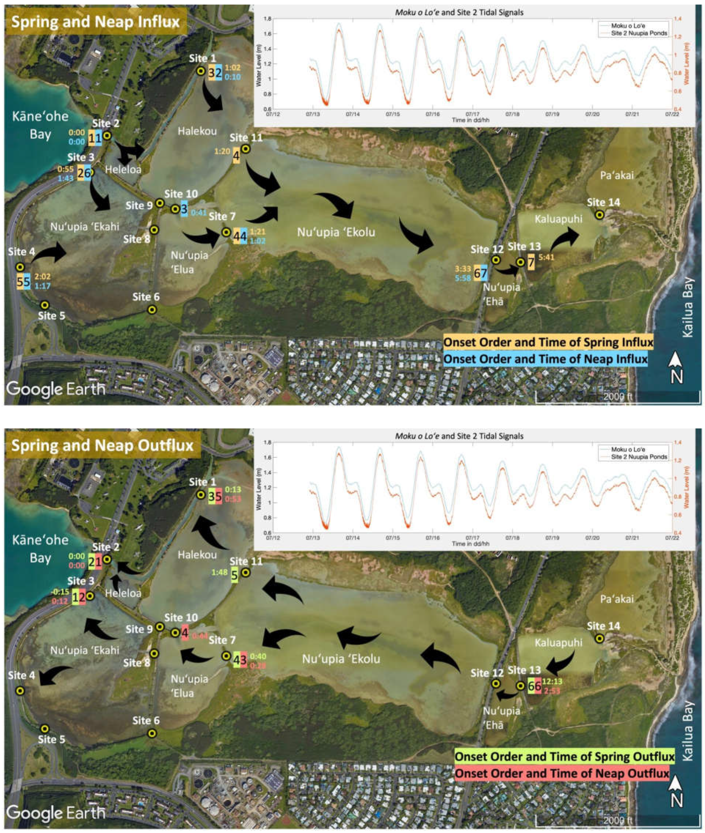 Preprints 109193 g006