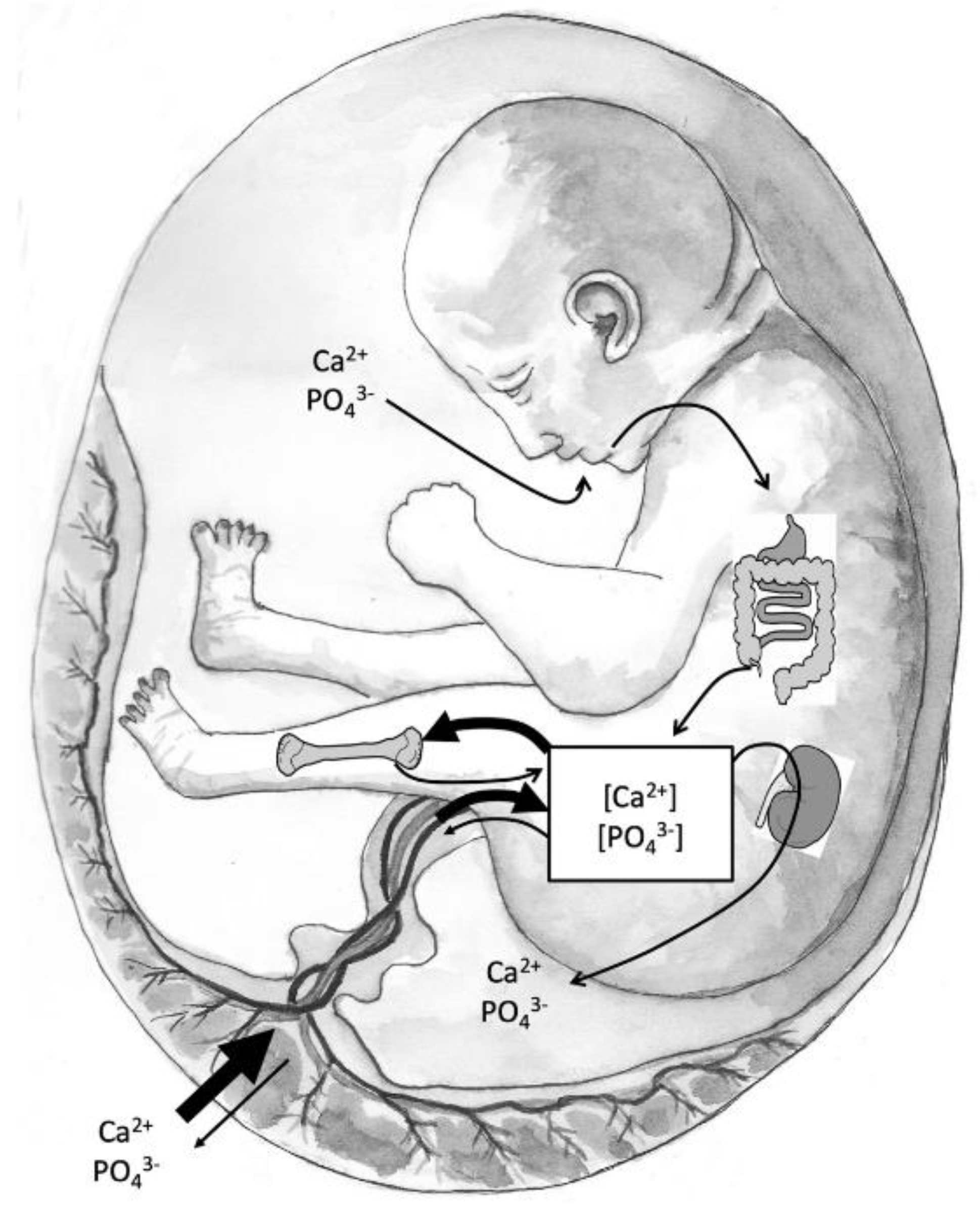 Preprints 178259 g002