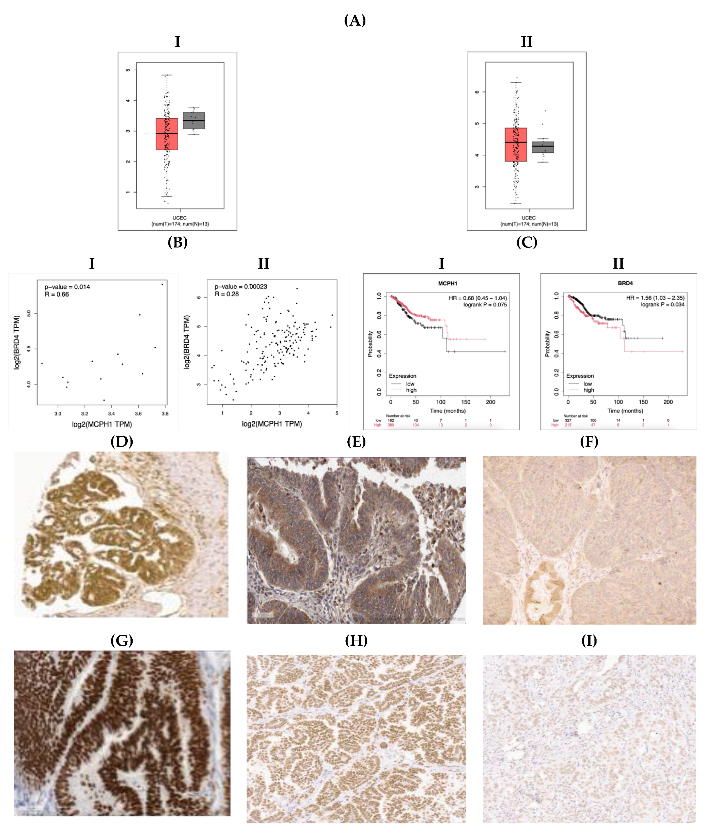 Preprints 182507 g001
