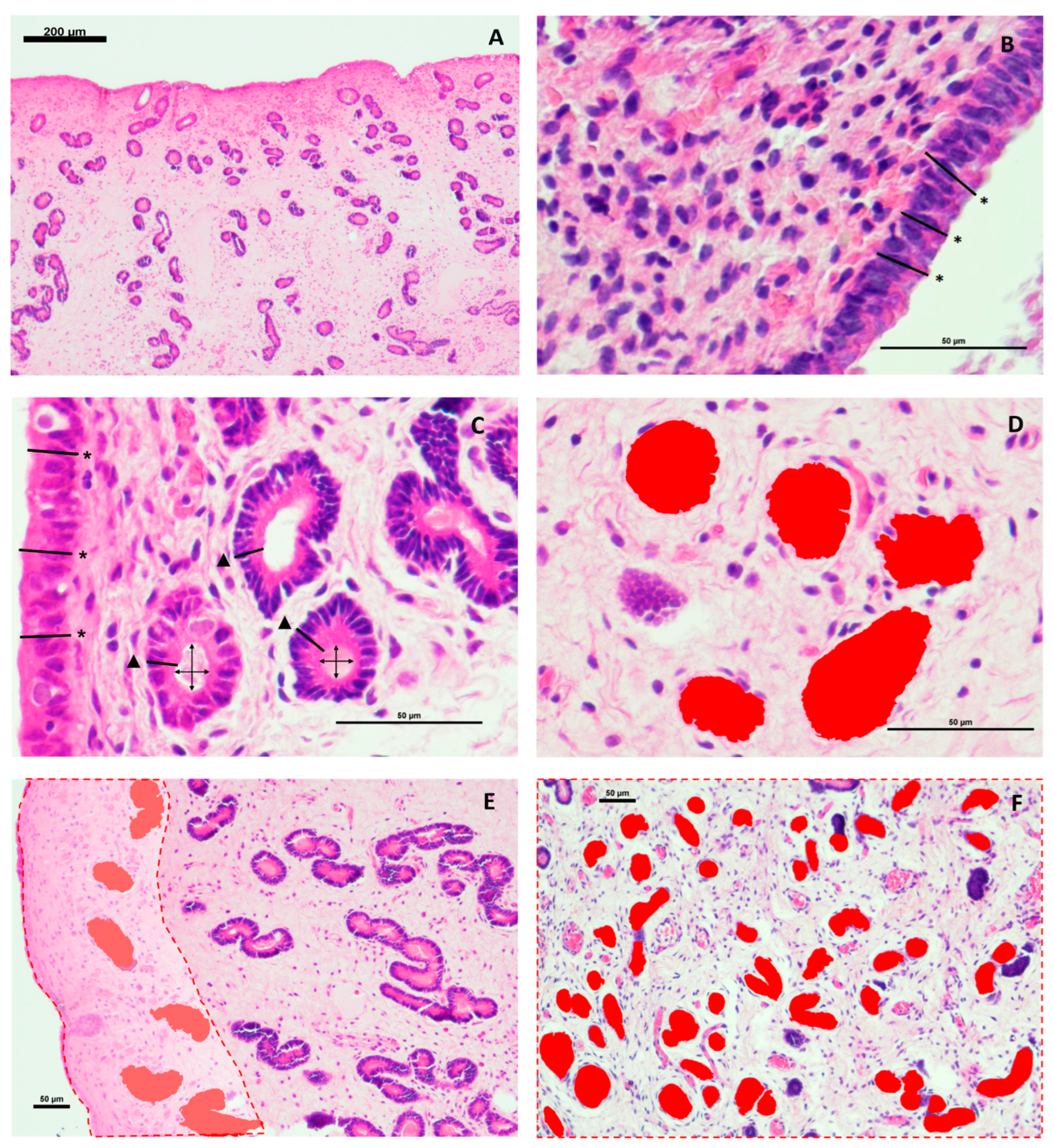 Preprints 187391 g001