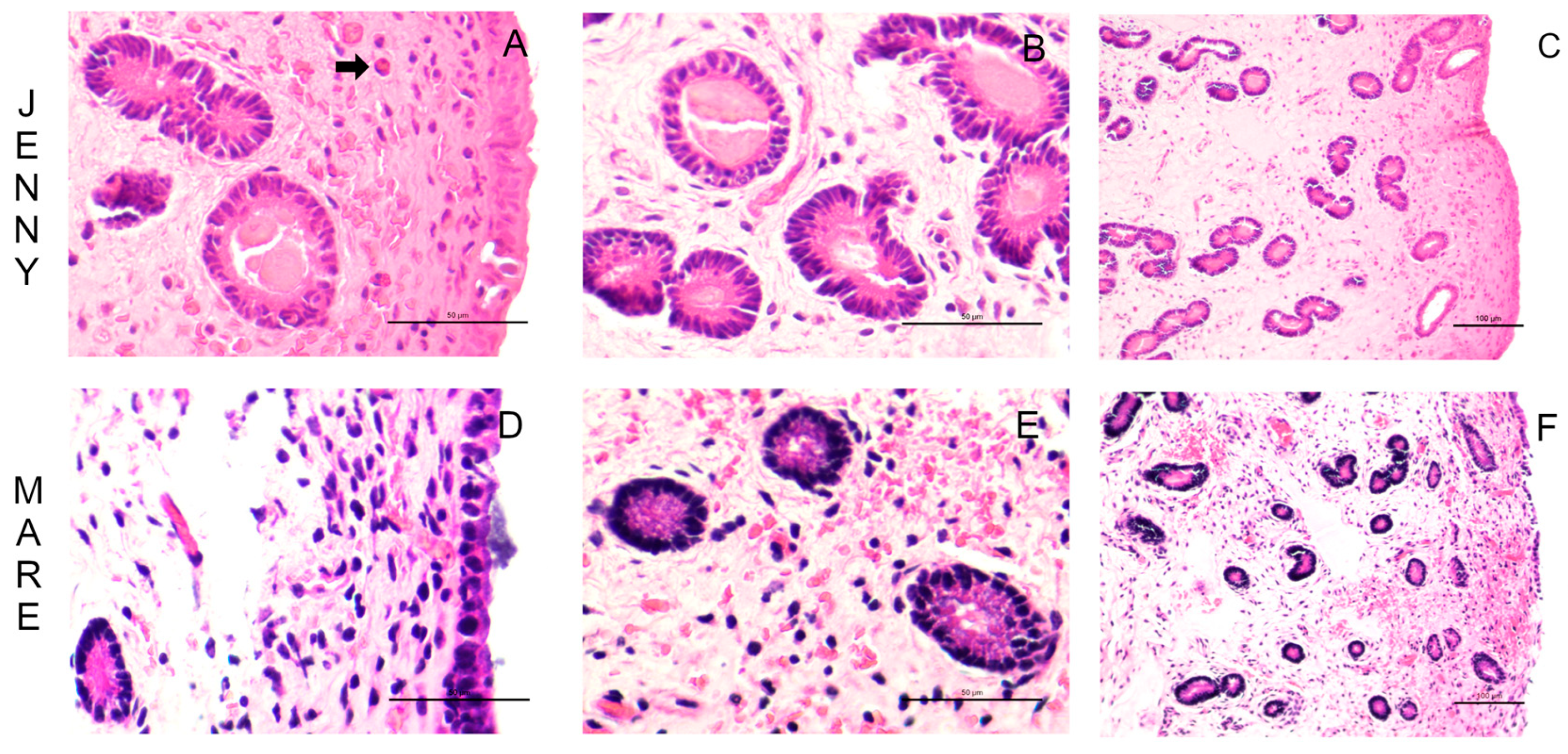 Preprints 187391 g002