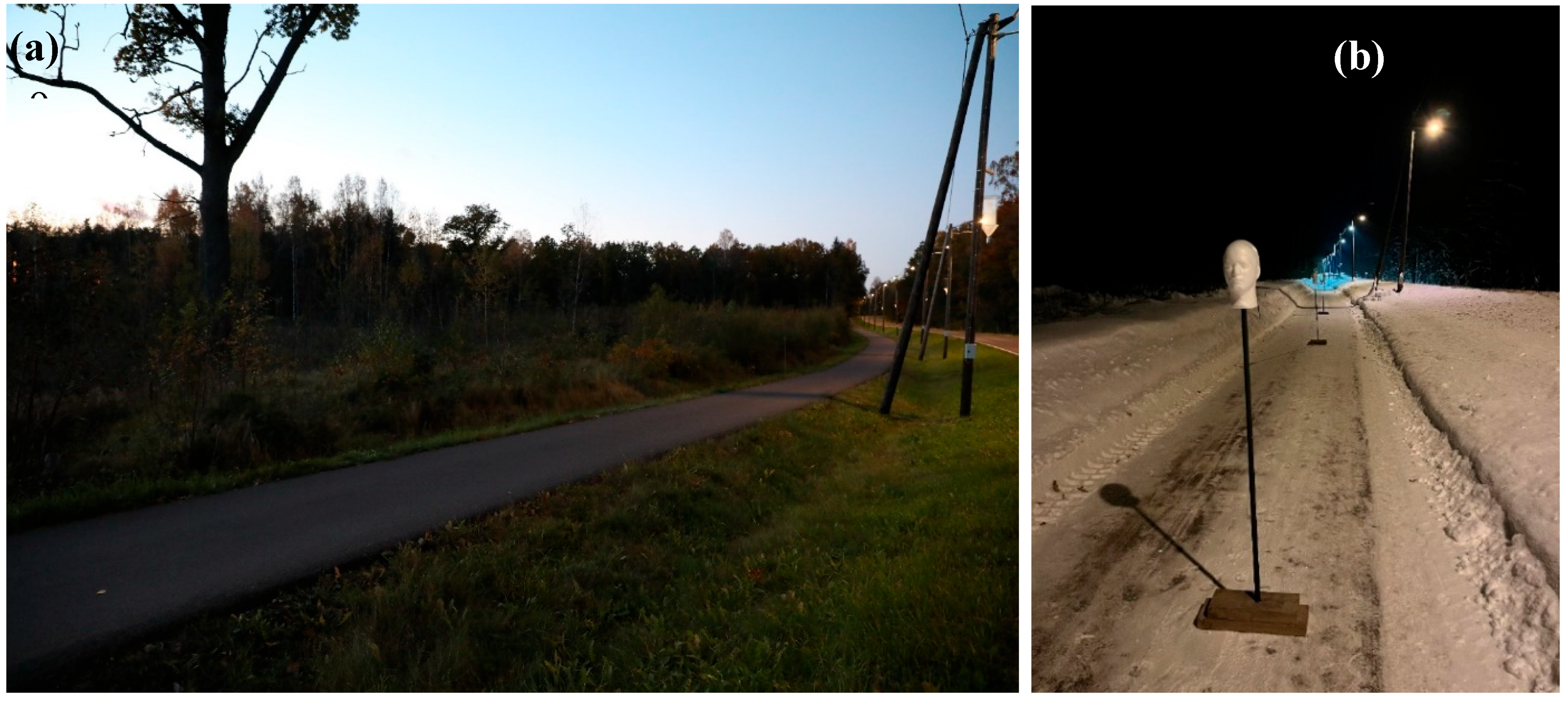 Preprints 162695 g001