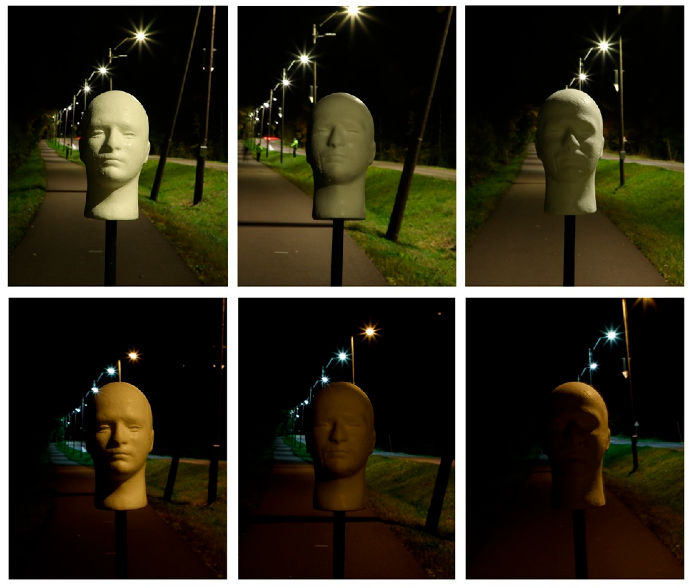 Preprints 162695 g007