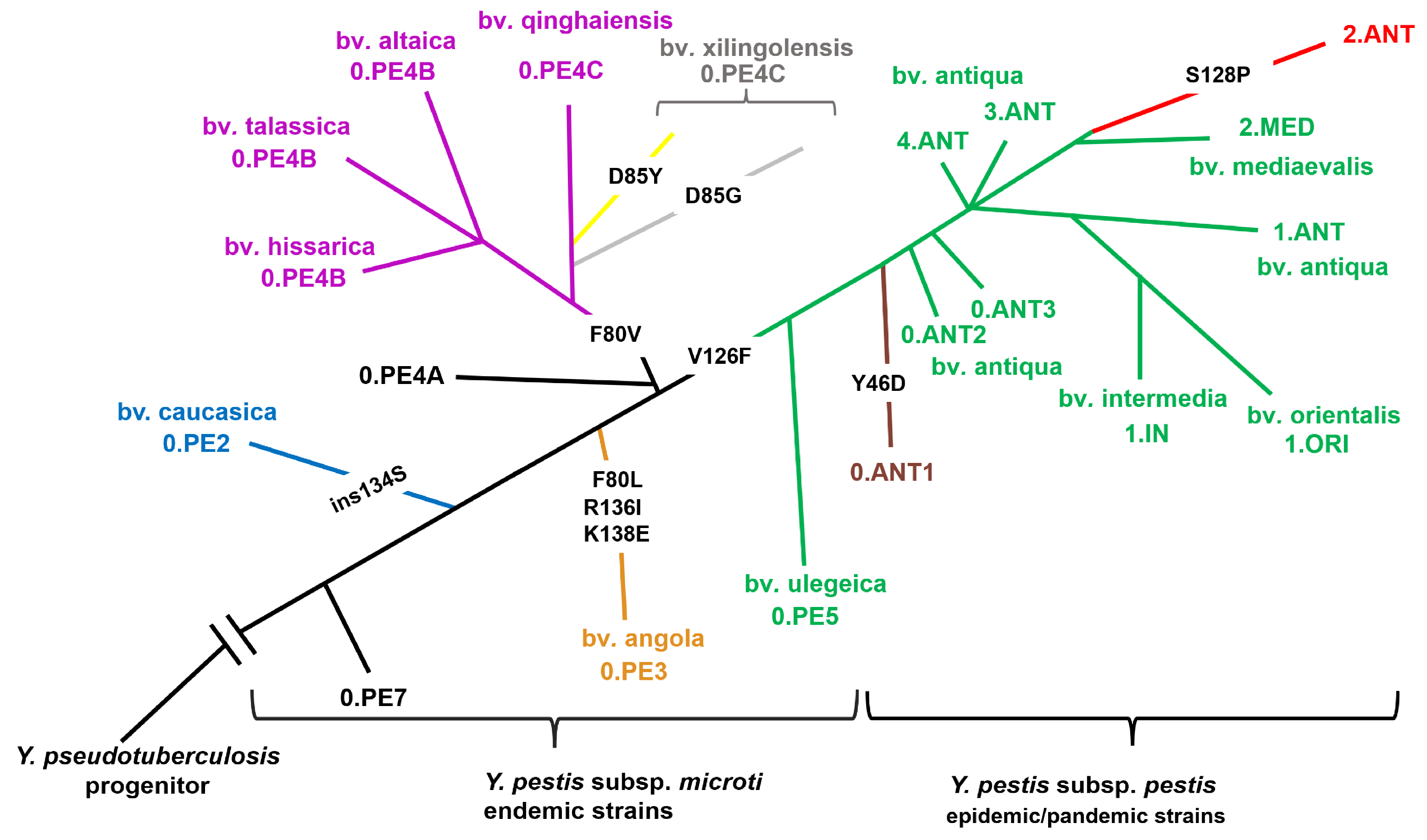 Preprints 161206 g002