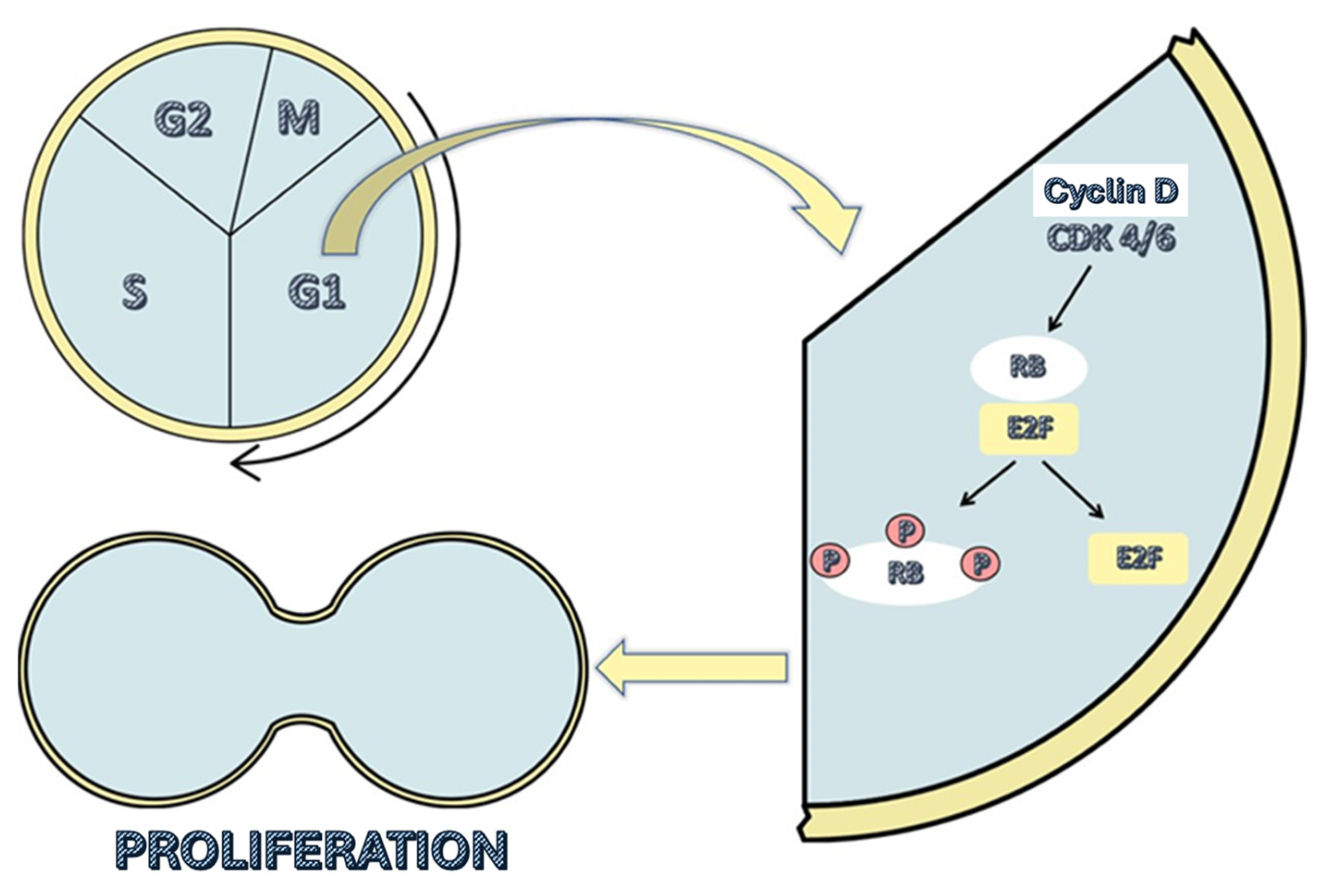Preprints 144042 g001