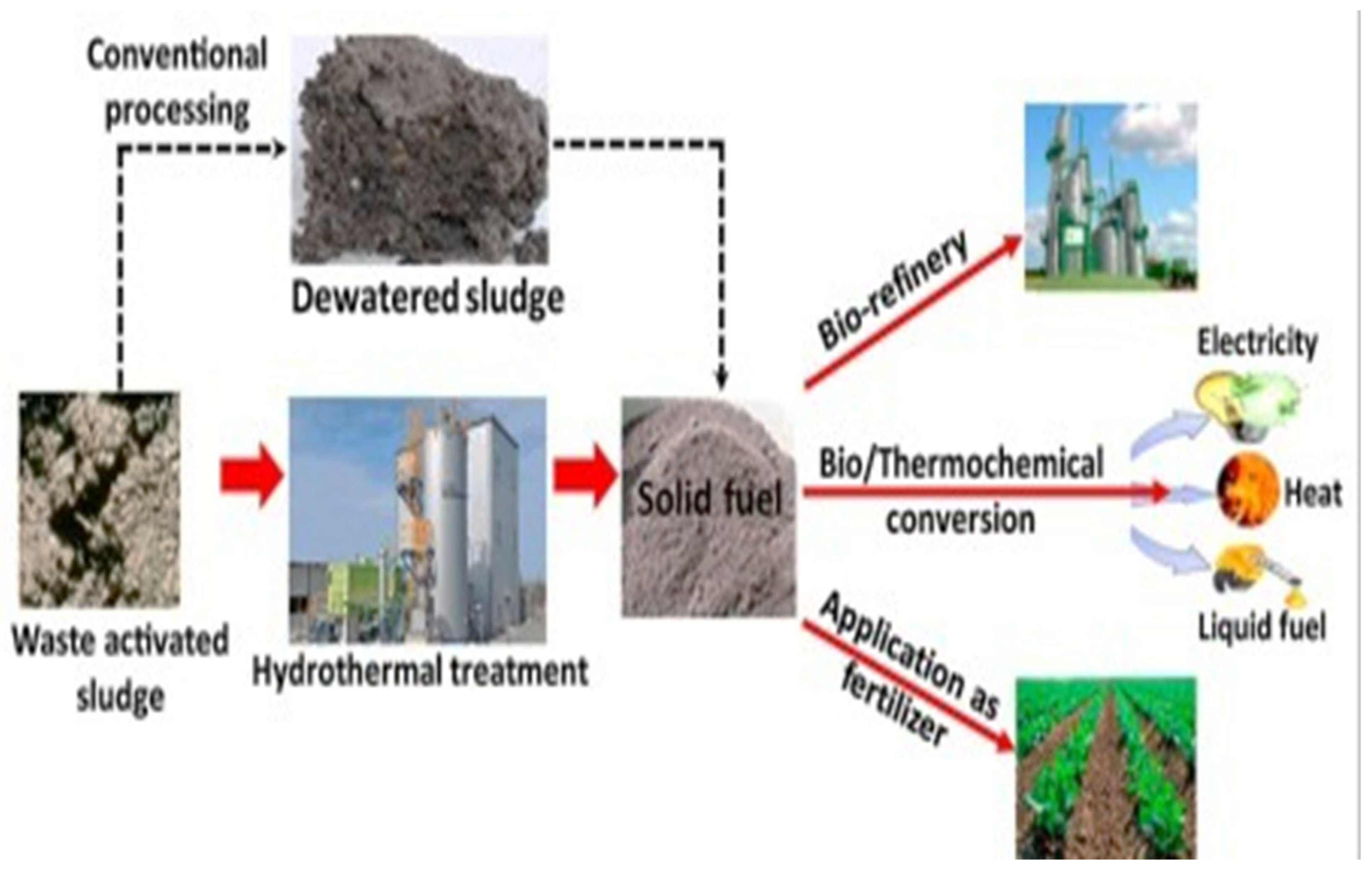 Preprints 152521 g001