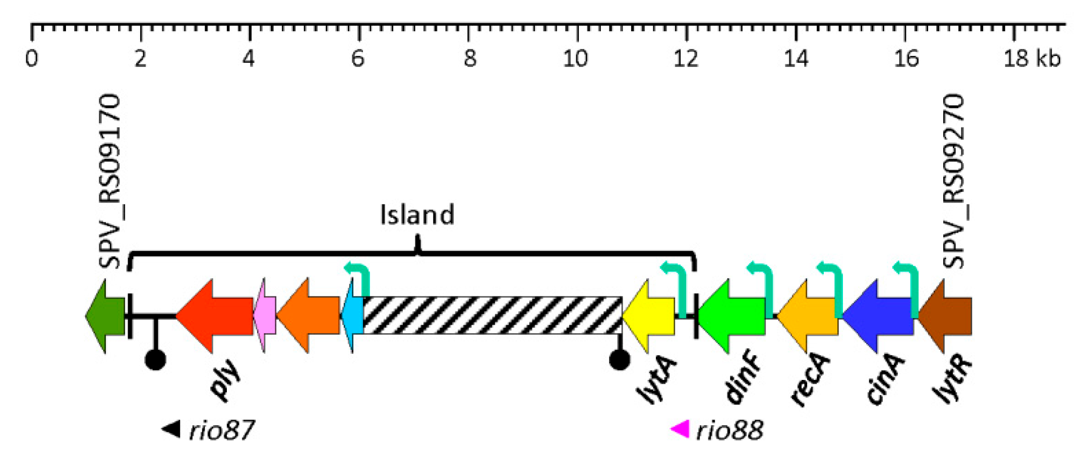 Preprints 152415 g001