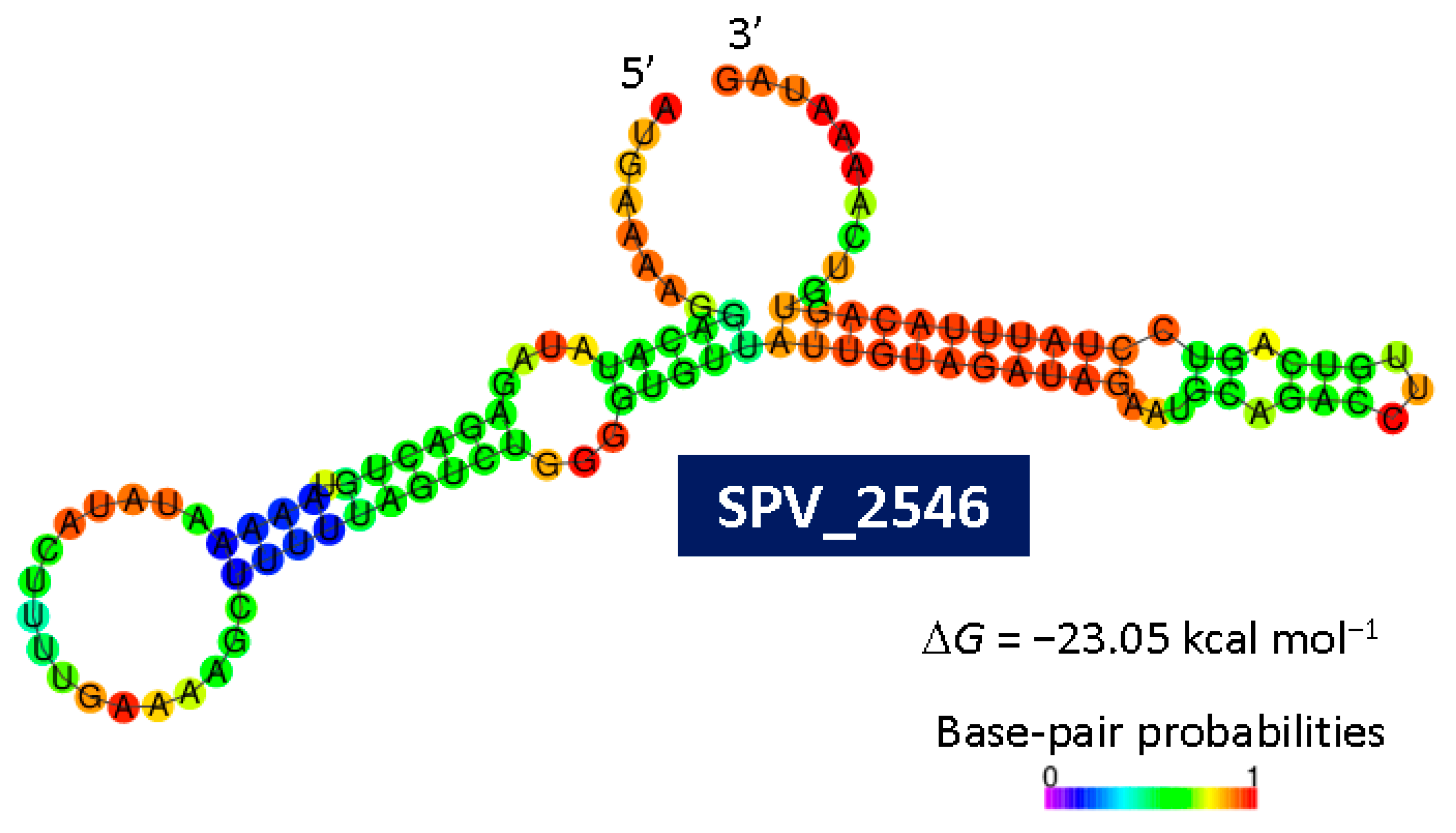Preprints 152415 g002