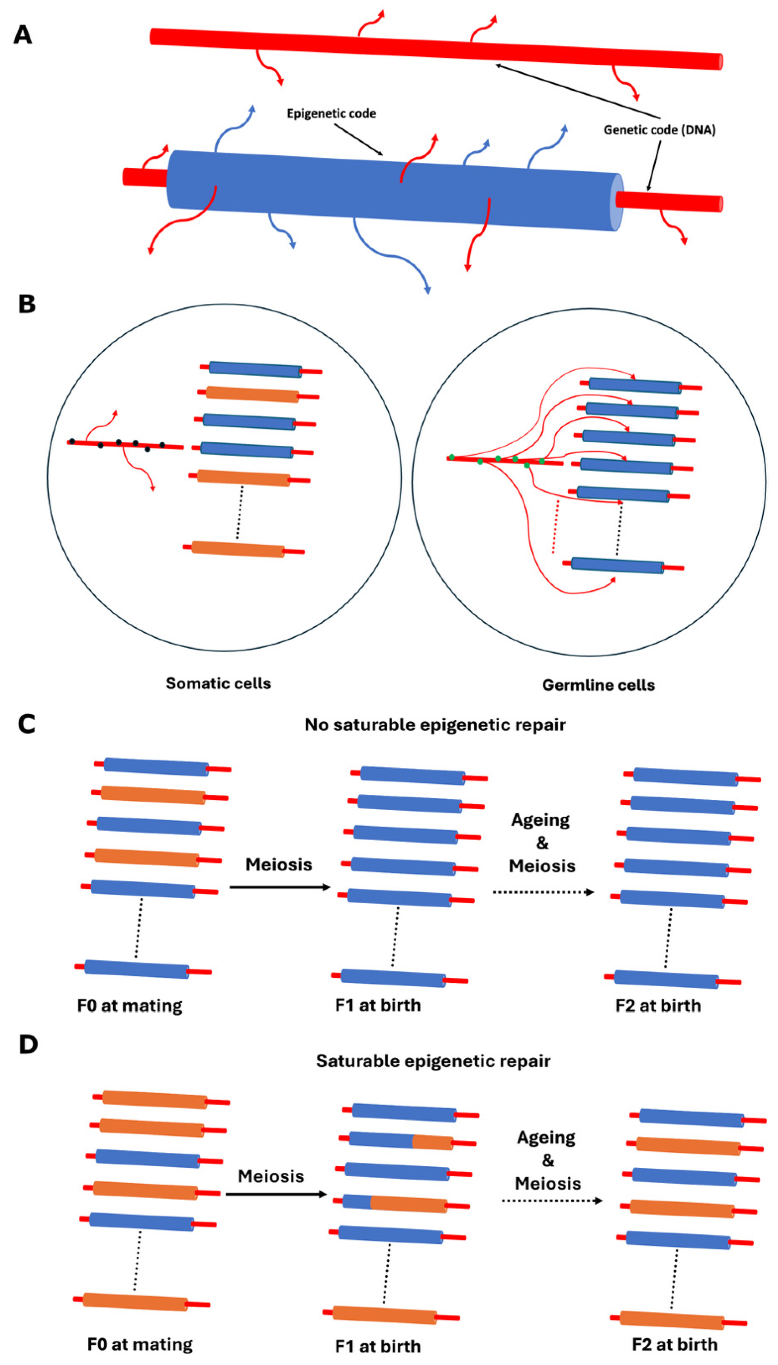Preprints 169273 g001