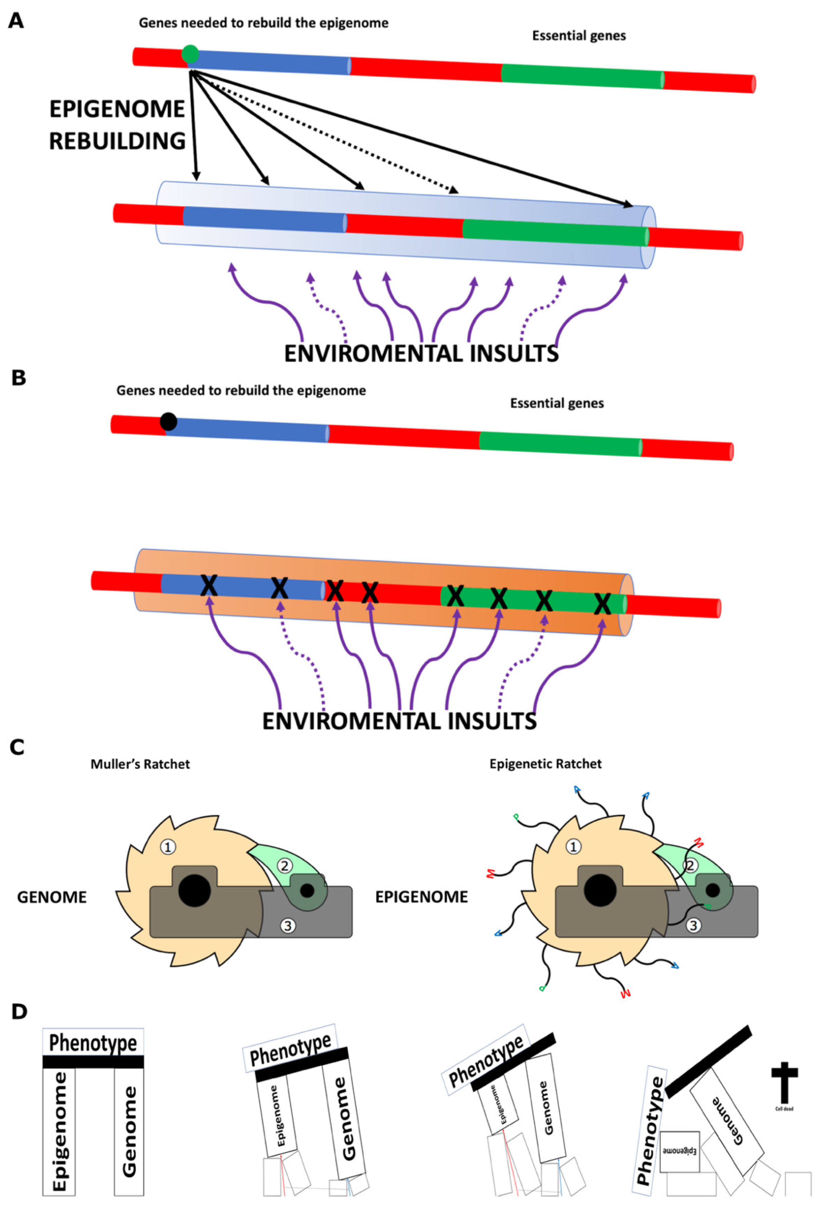 Preprints 169273 g002