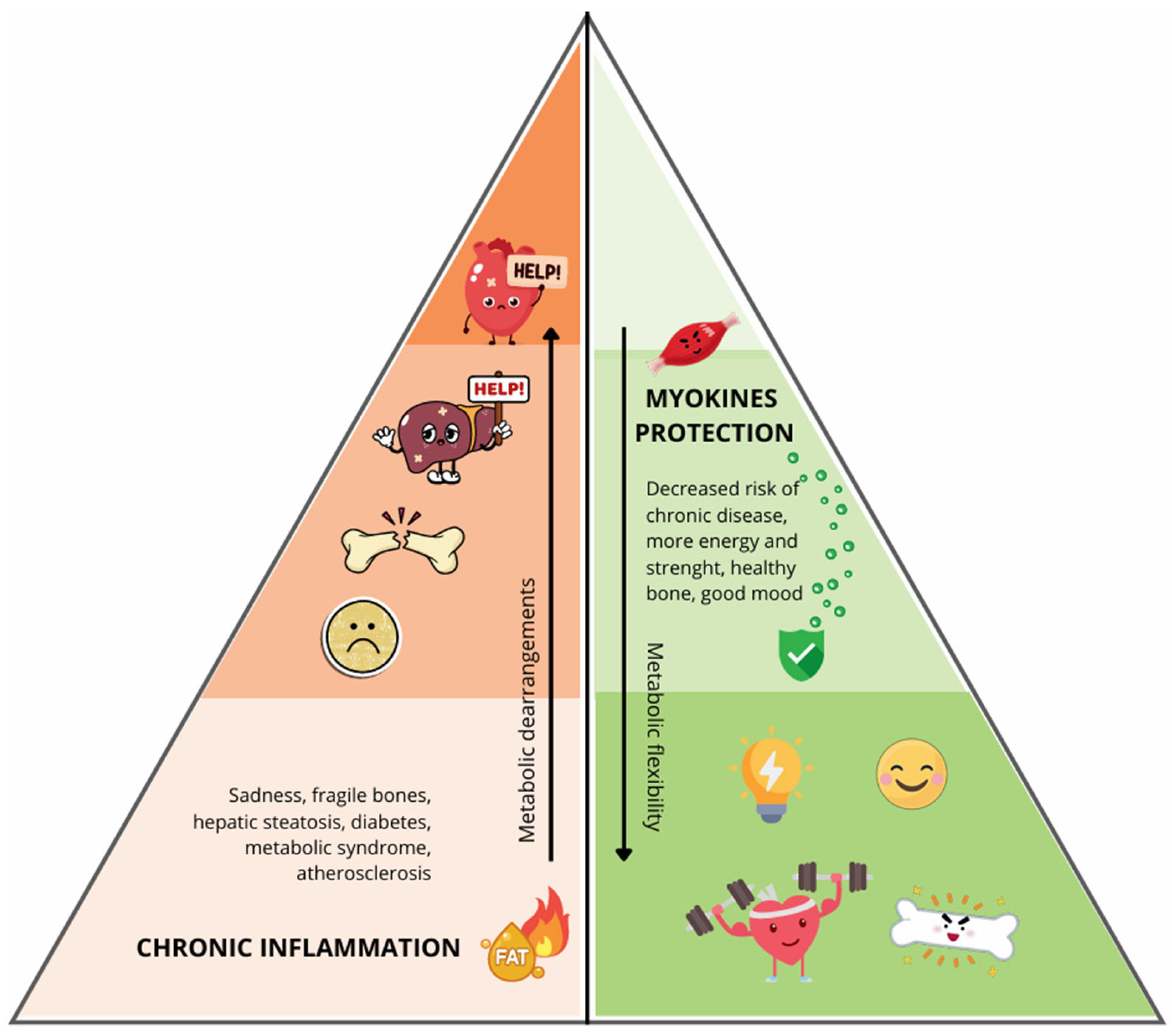 Preprints 186716 g003