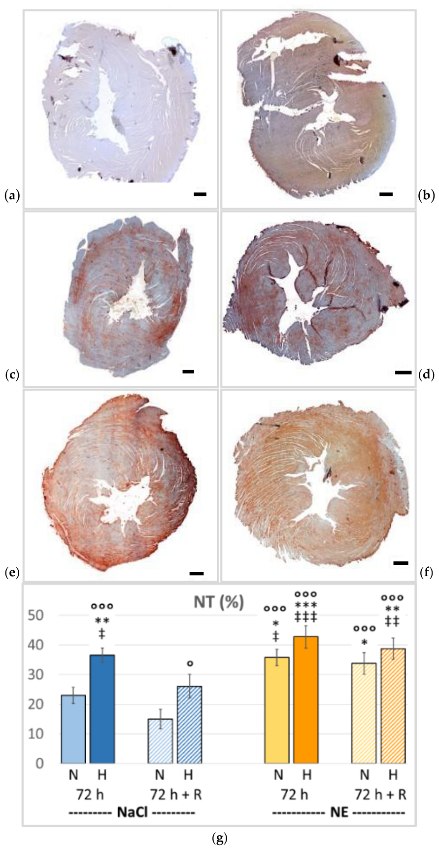 Preprints 214282 g007