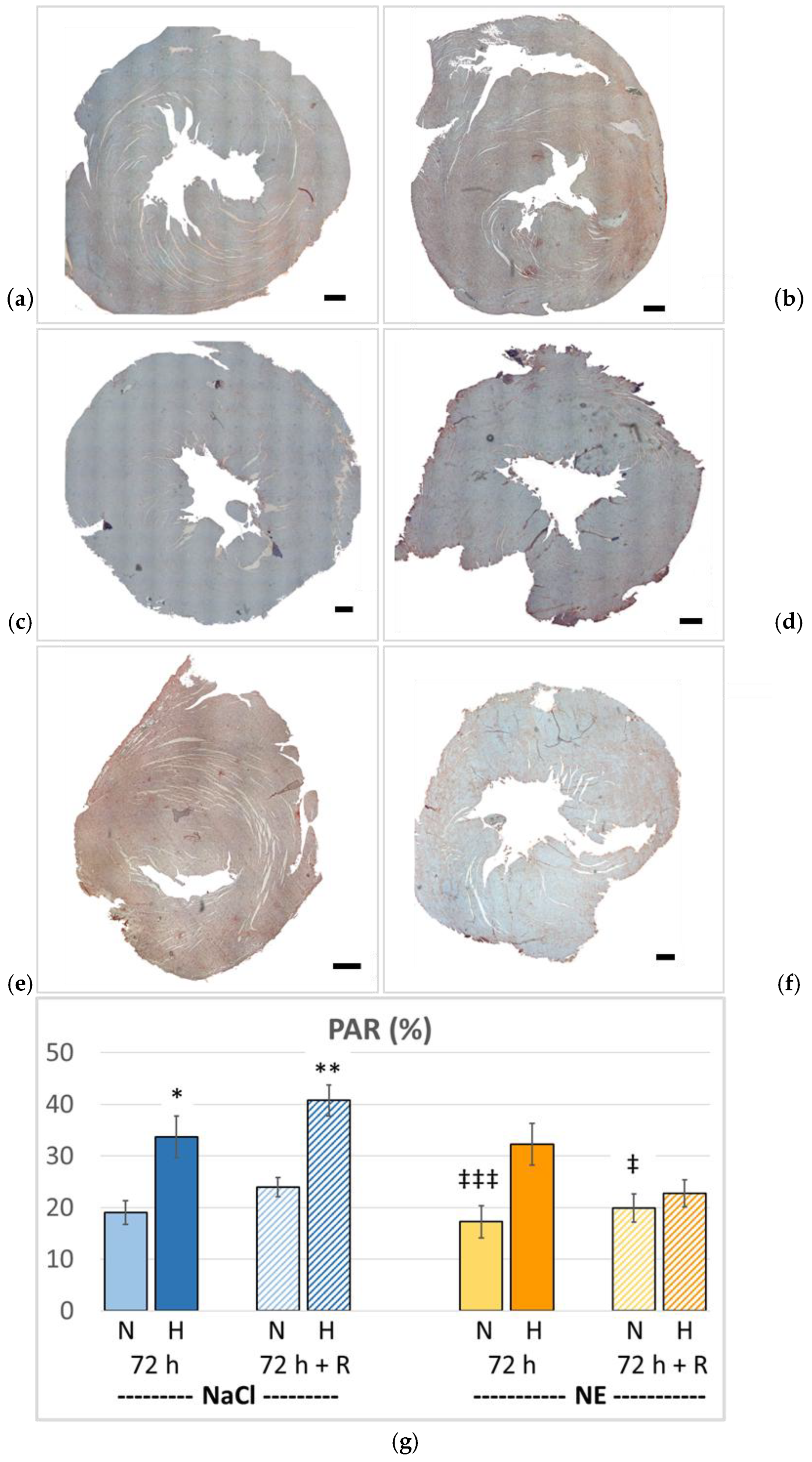 Preprints 214282 g008