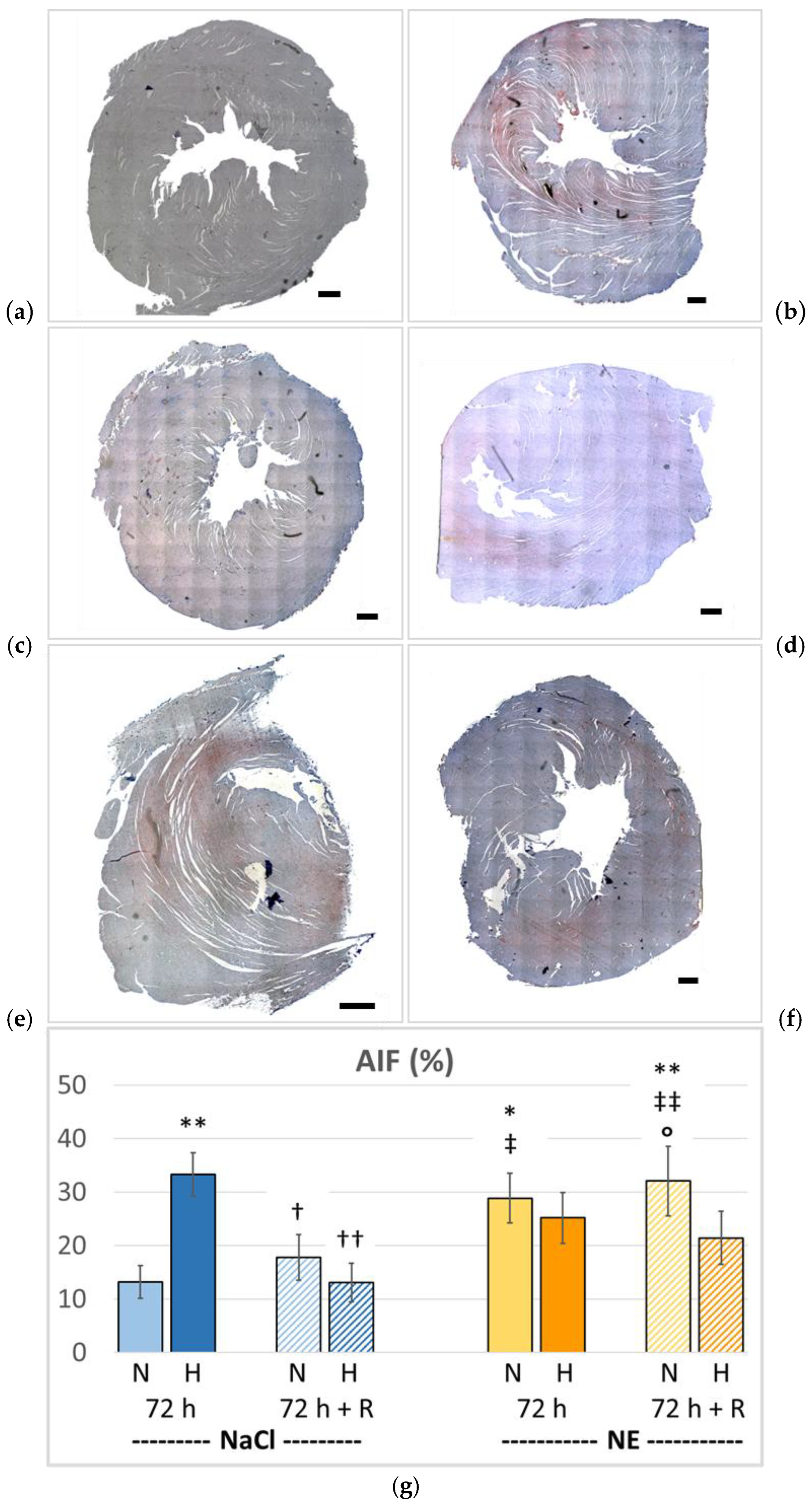 Preprints 214282 g009