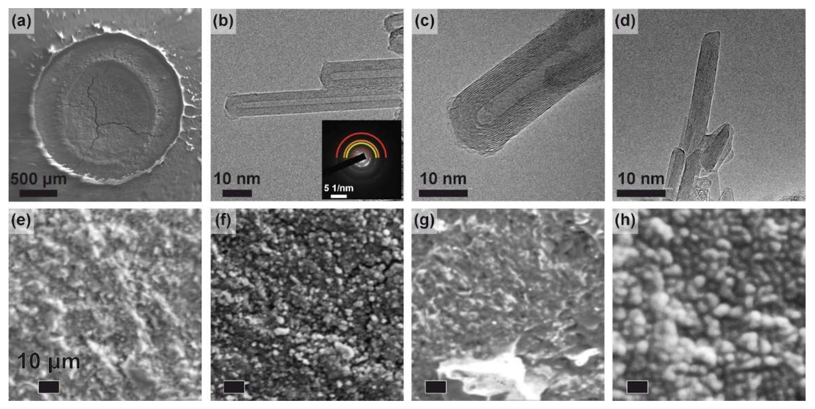 Preprints 141751 g002