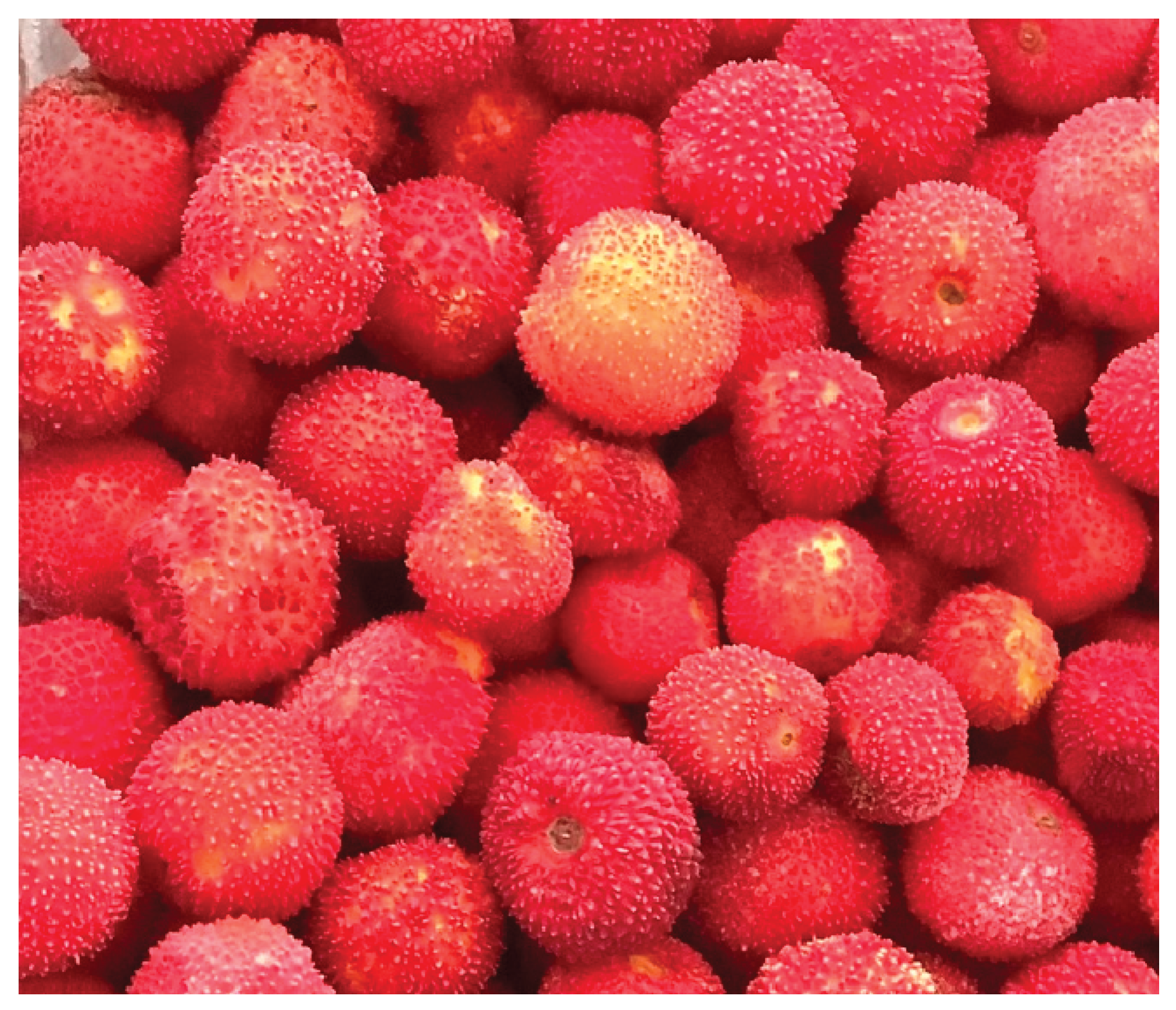 Preprints 100511 g001