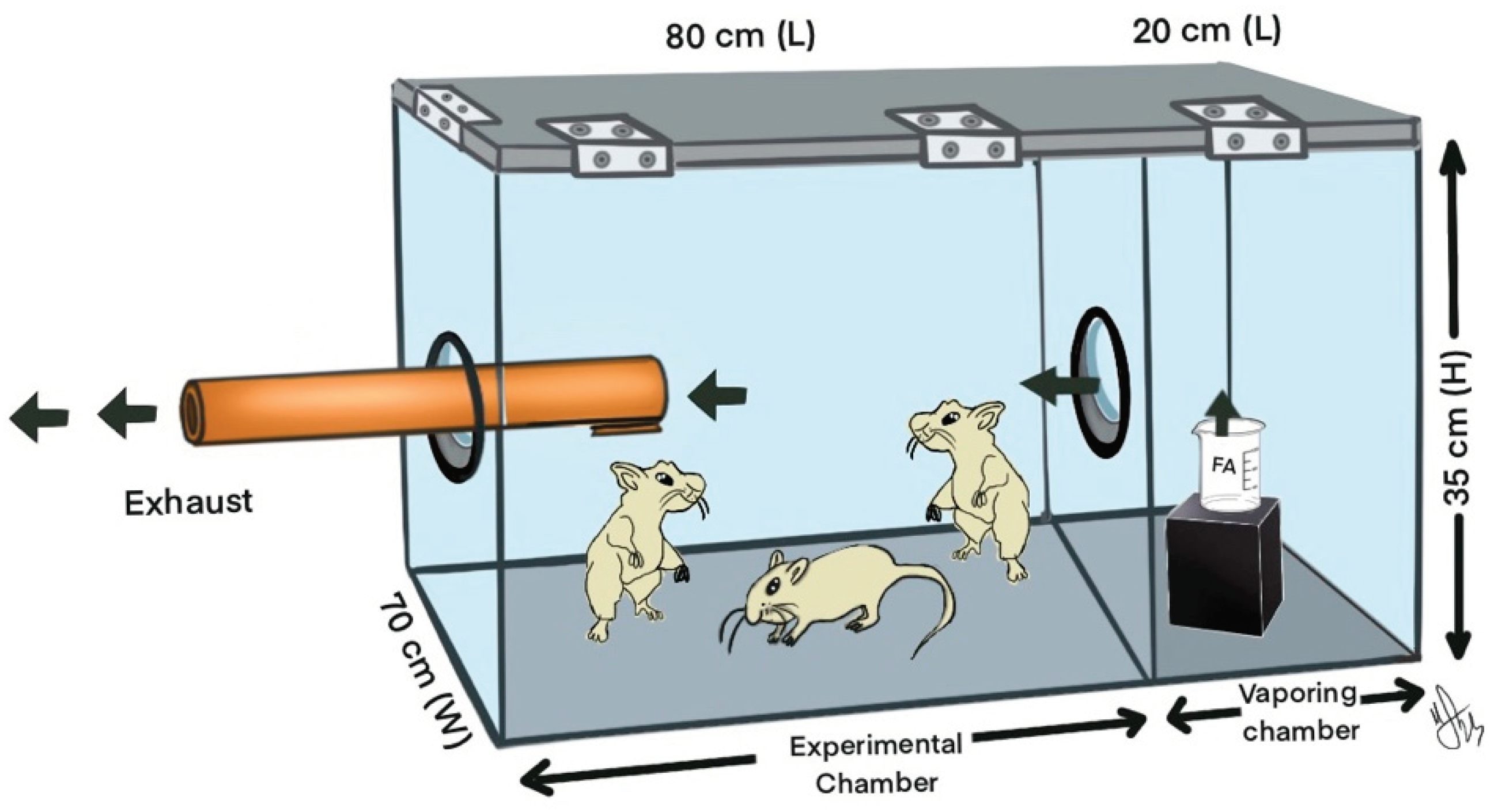 Preprints 100511 g002