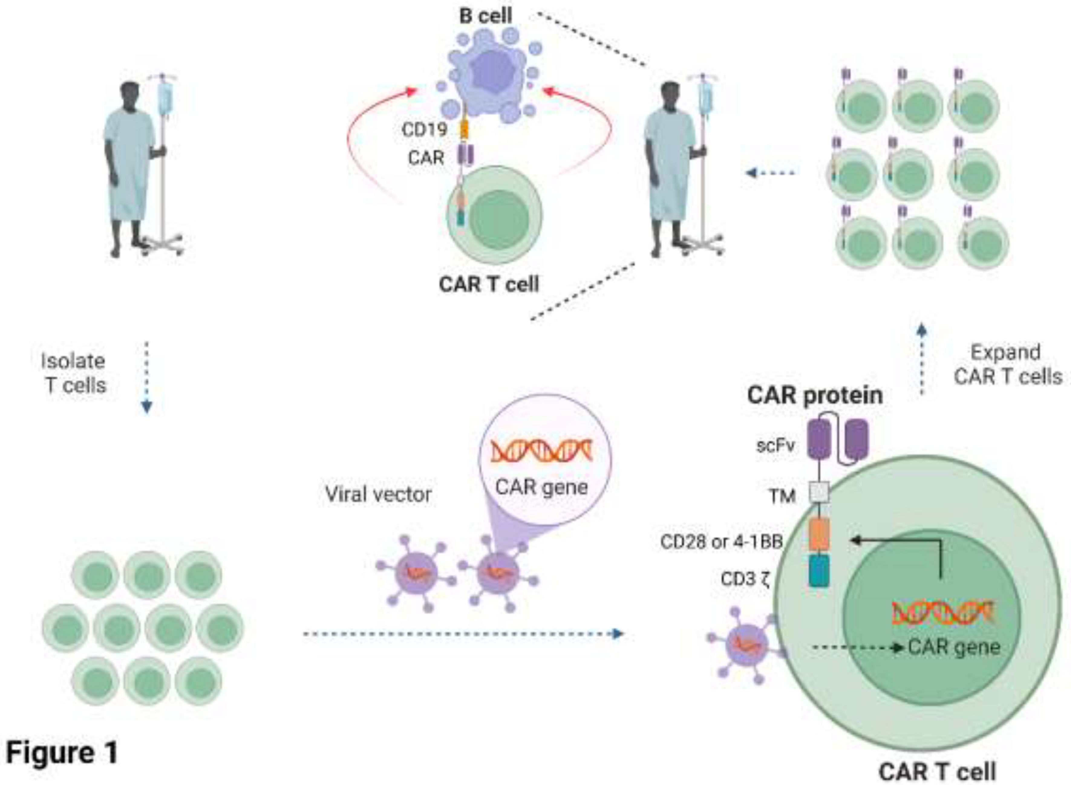 Preprints 153207 g001