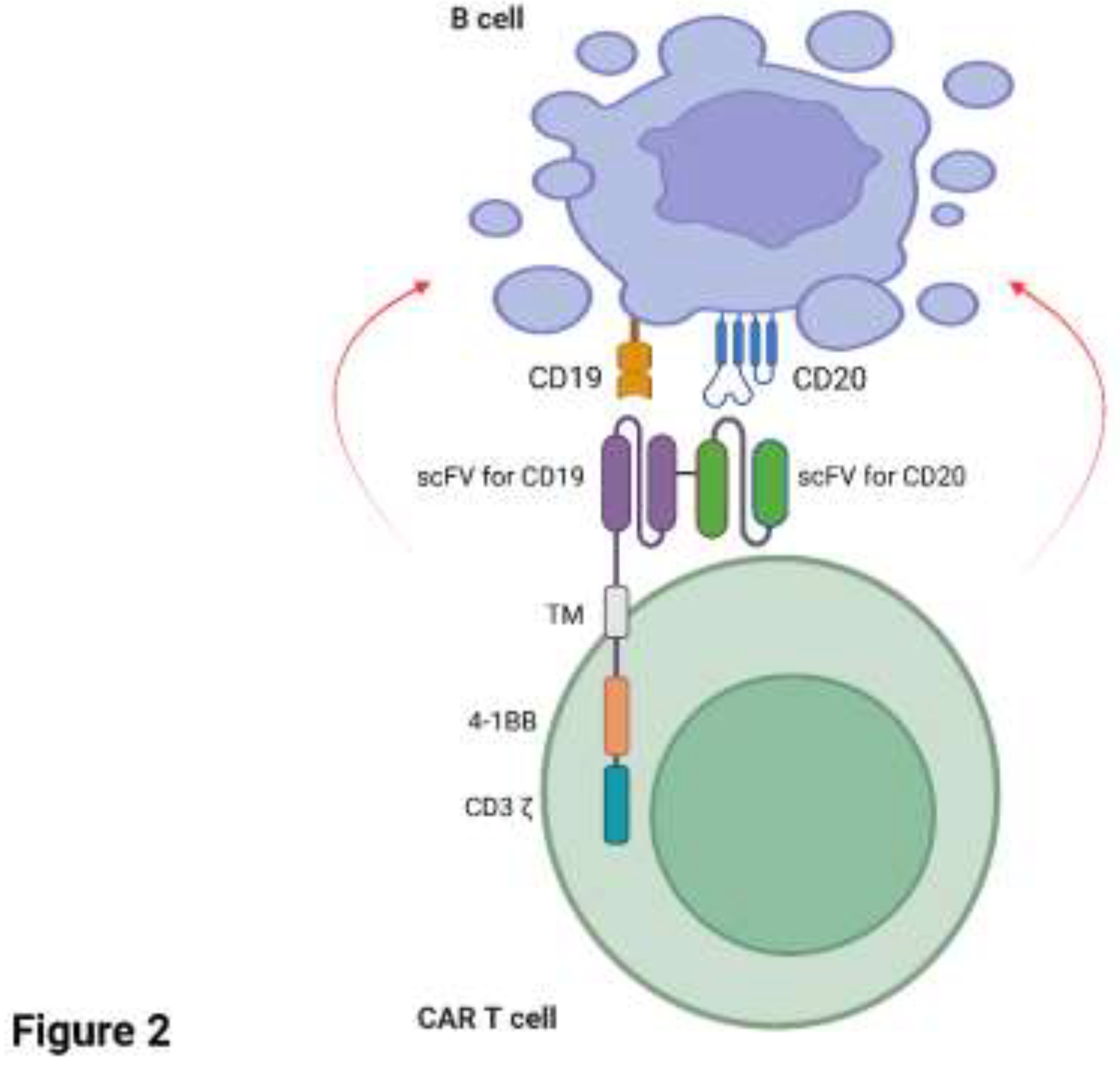 Preprints 153207 g002