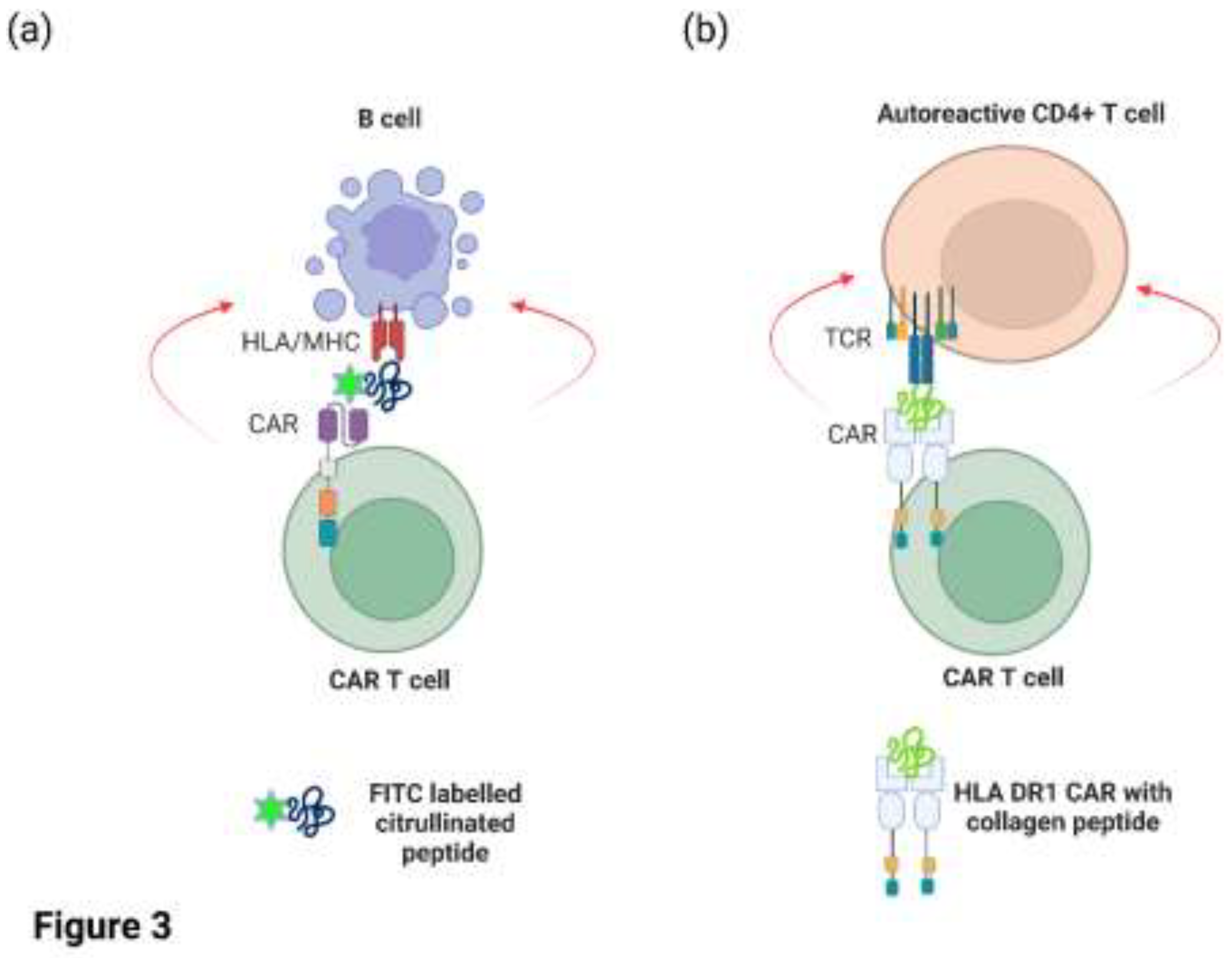 Preprints 153207 g003