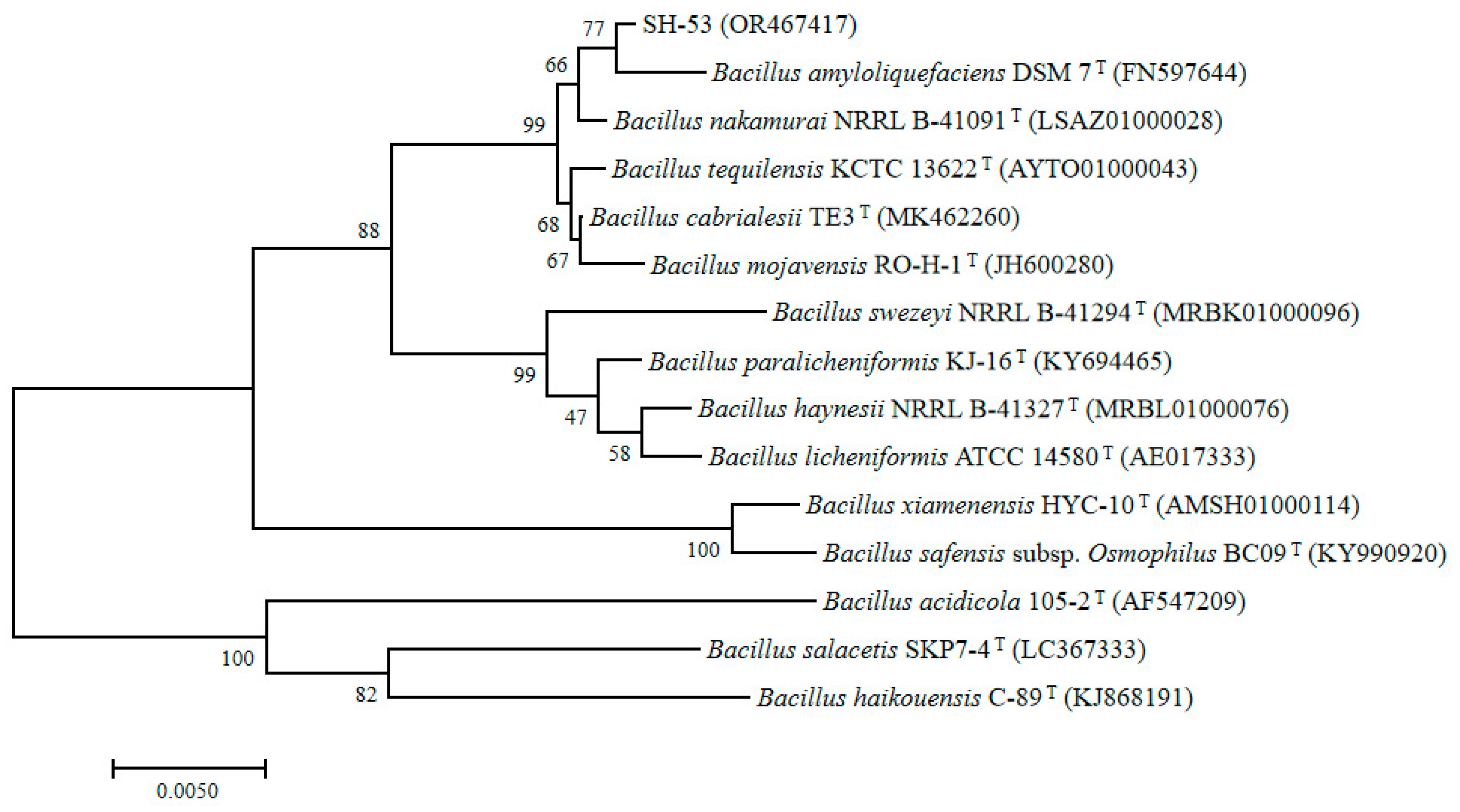 Preprints 192107 g001