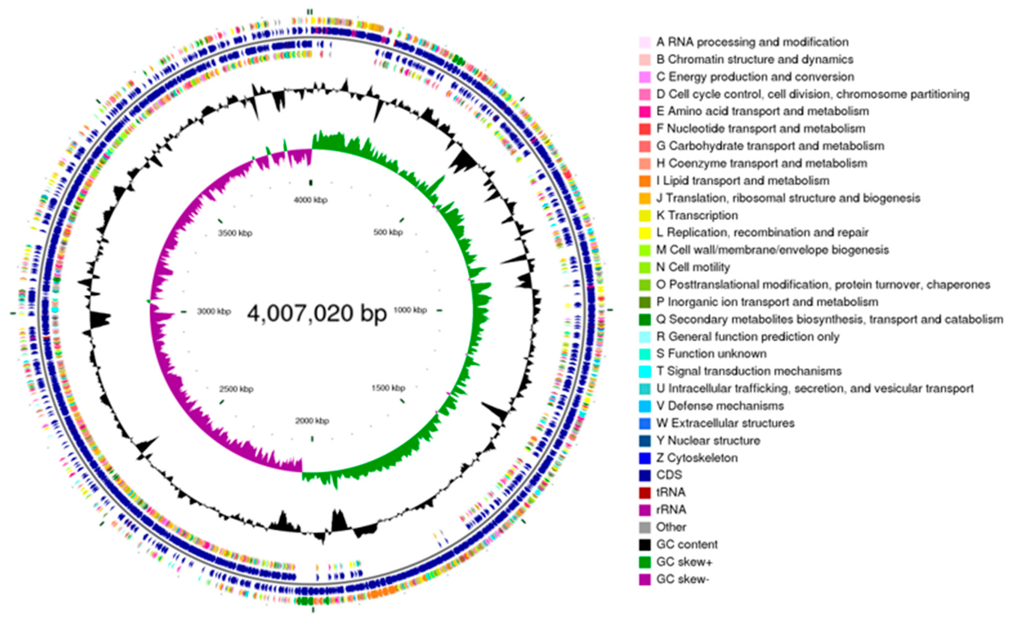 Preprints 192107 g002
