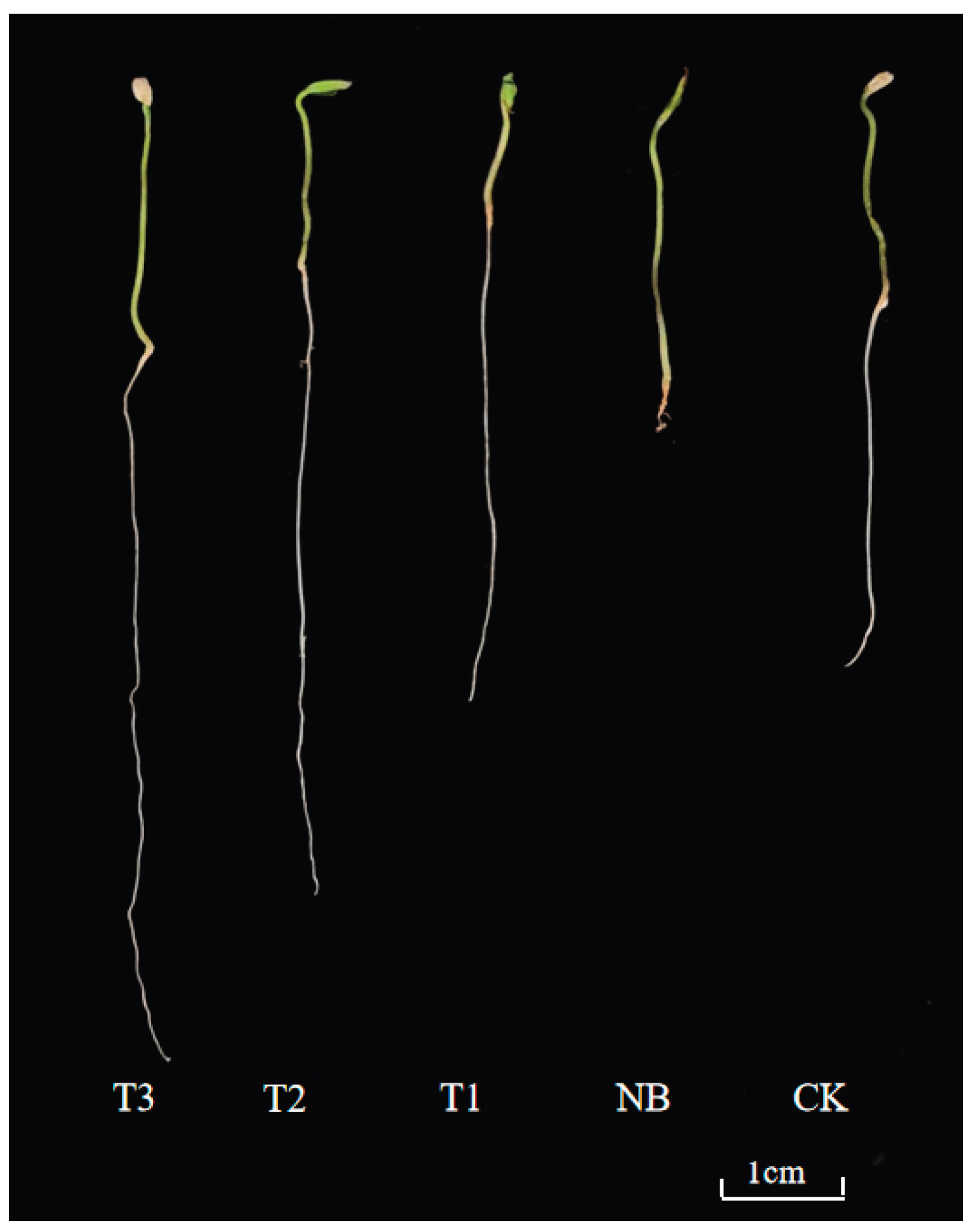 Preprints 192107 g010
