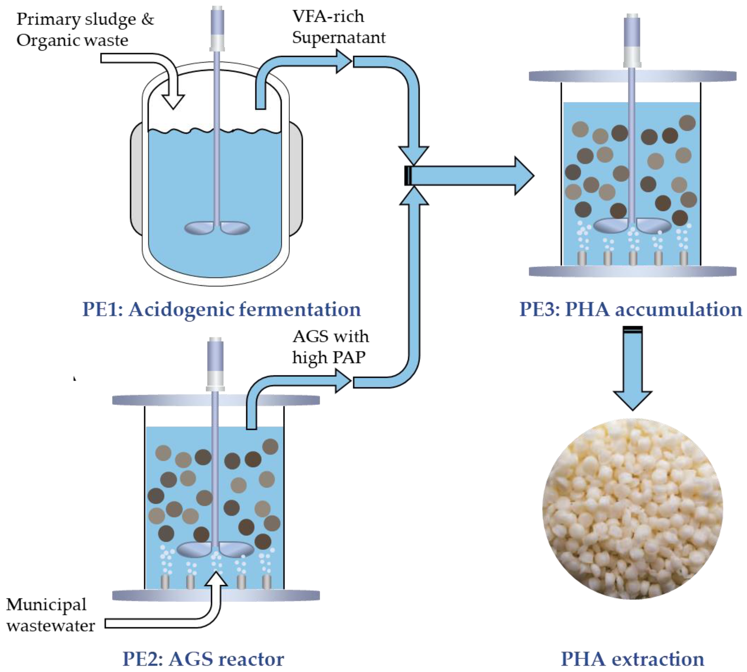 Preprints 197312 g002
