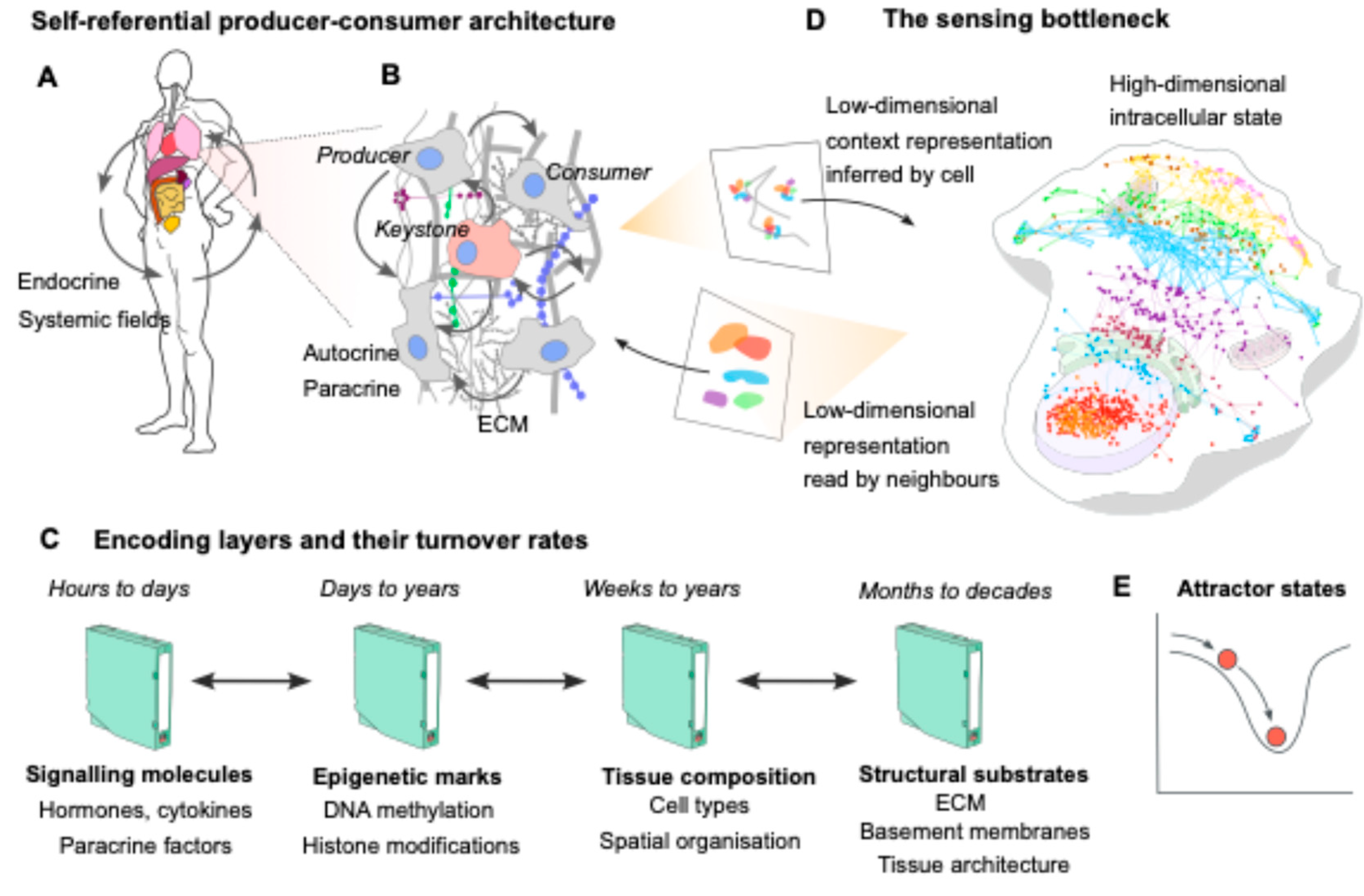 Preprints 204919 g002