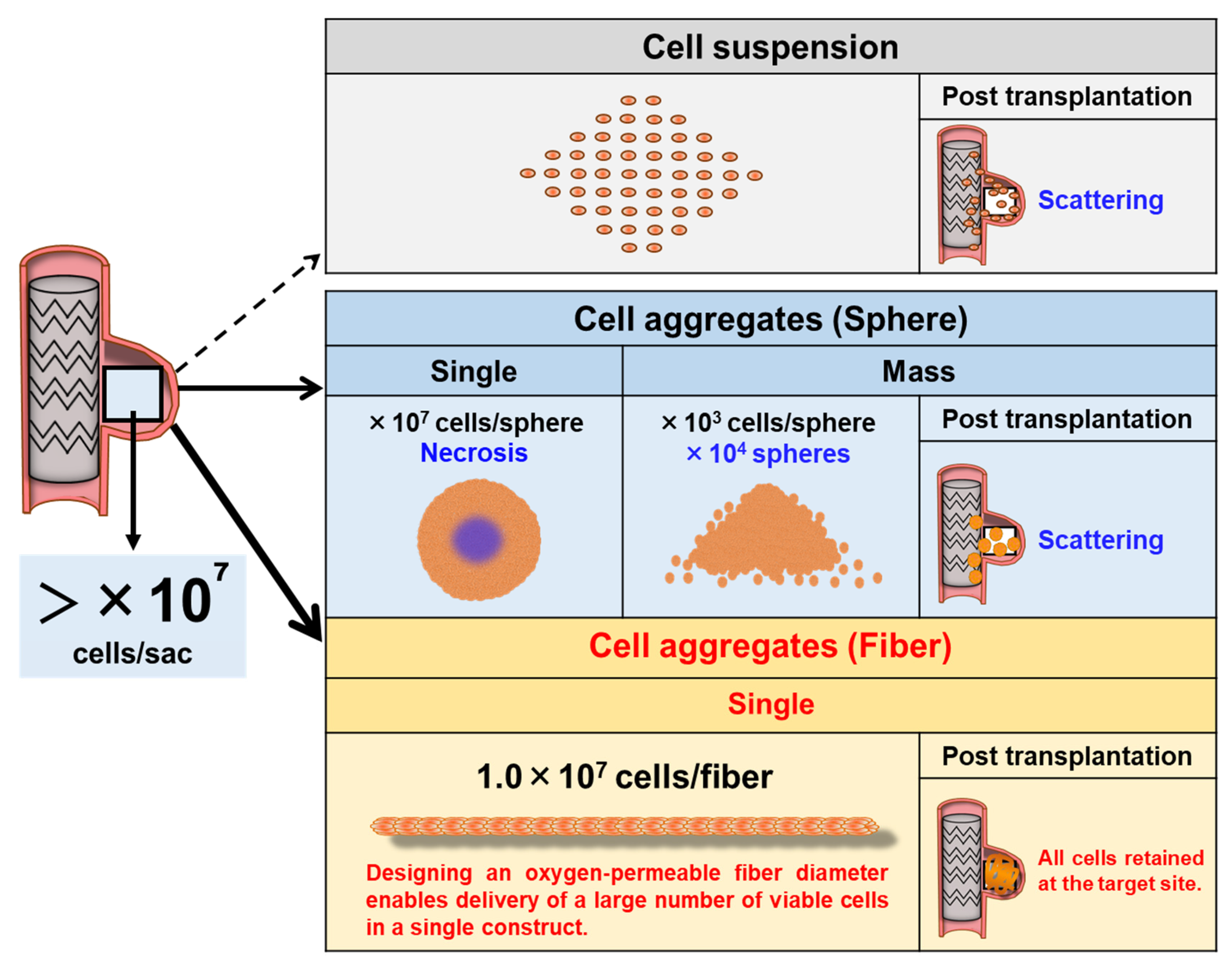 Preprints 195188 g001