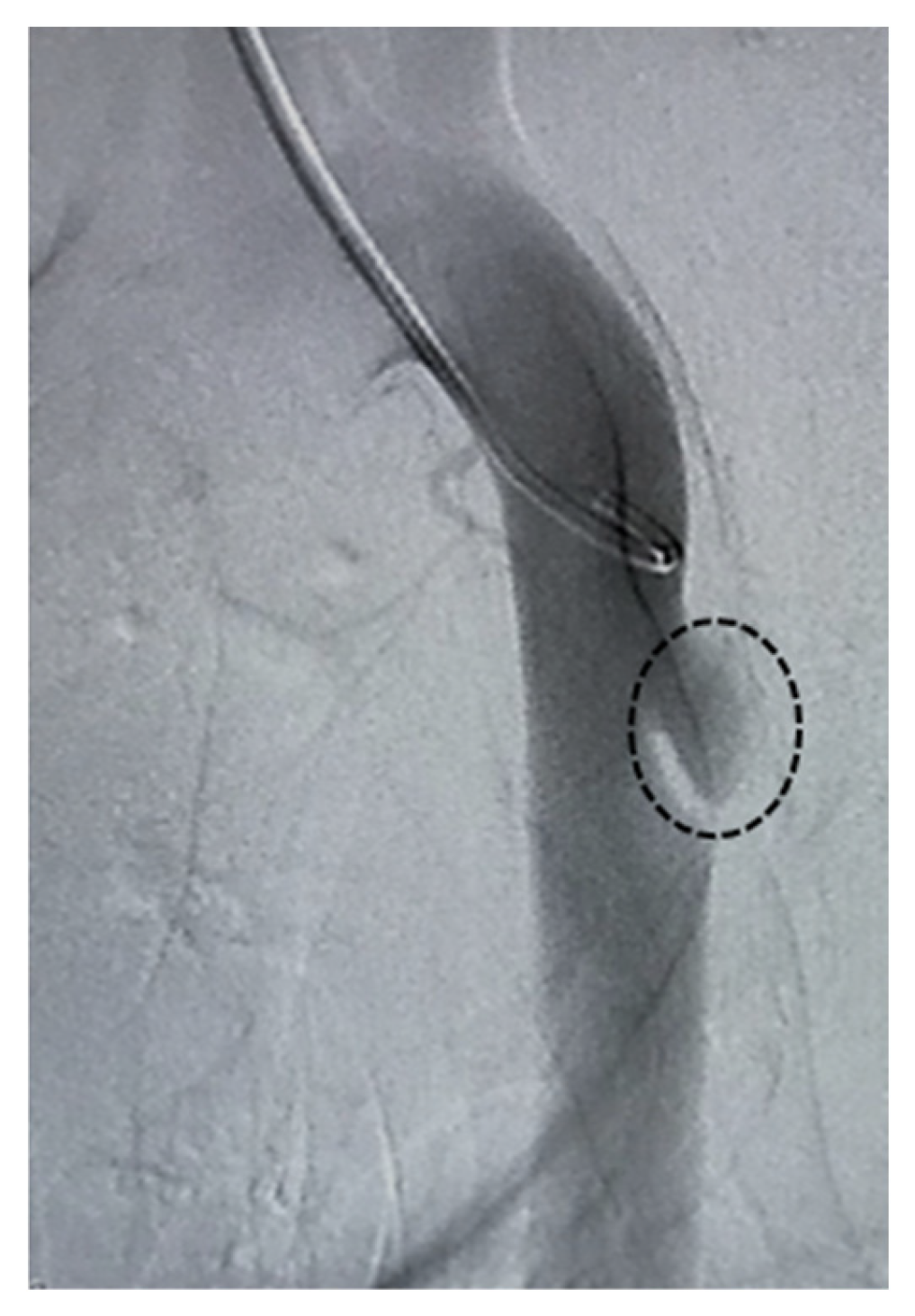 Preprints 195188 g002