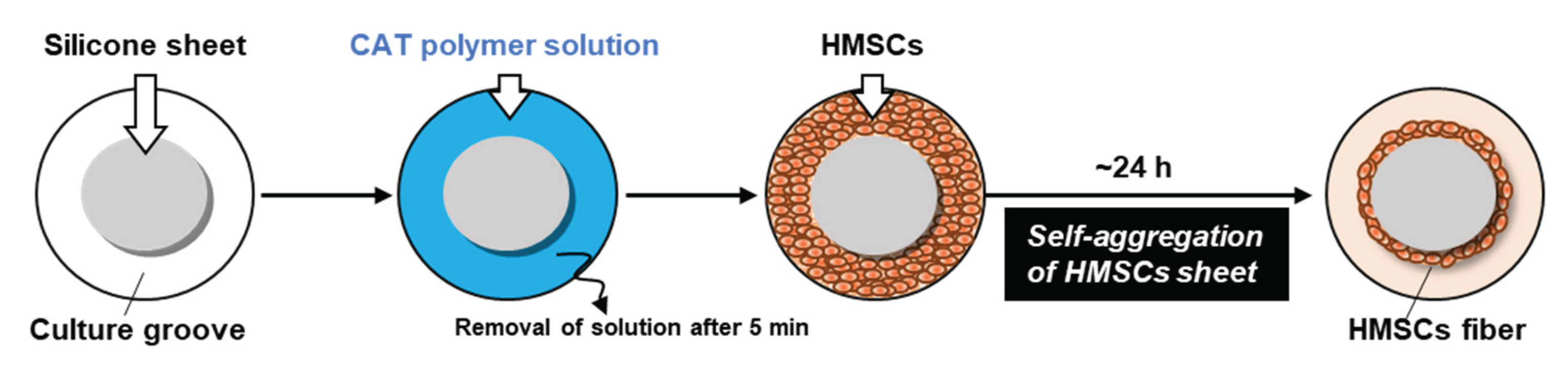 Preprints 195188 g003